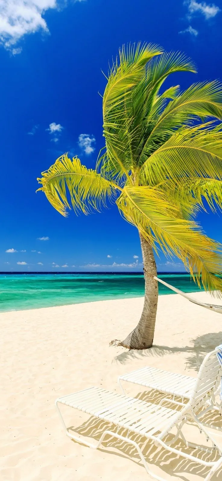 Tropical Beach