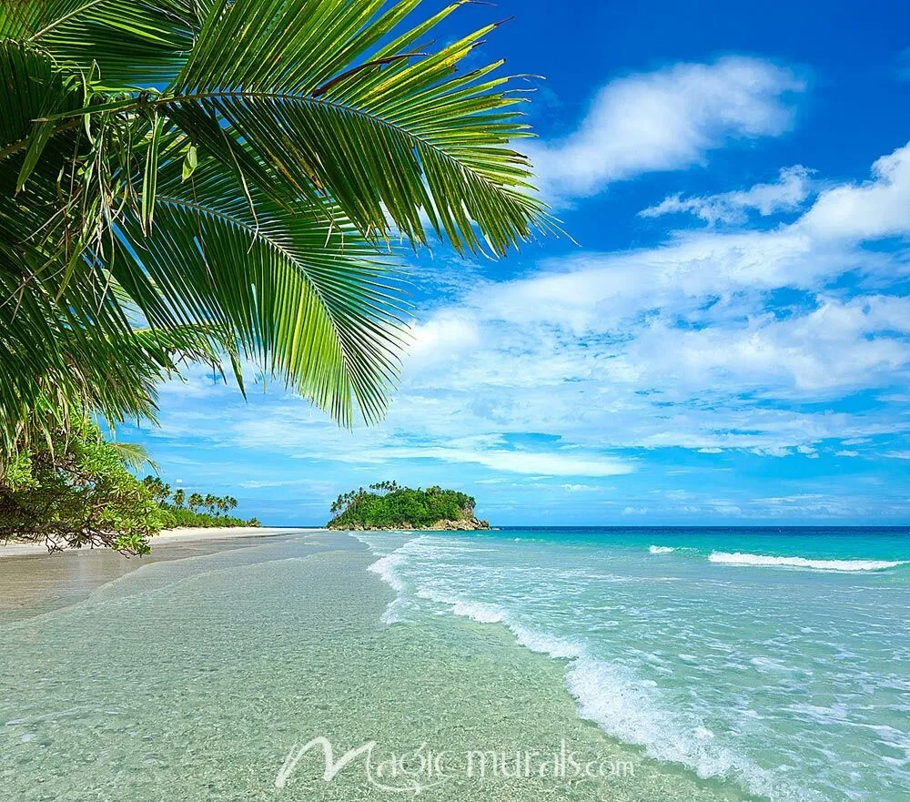 Beautiful Tropical Beach