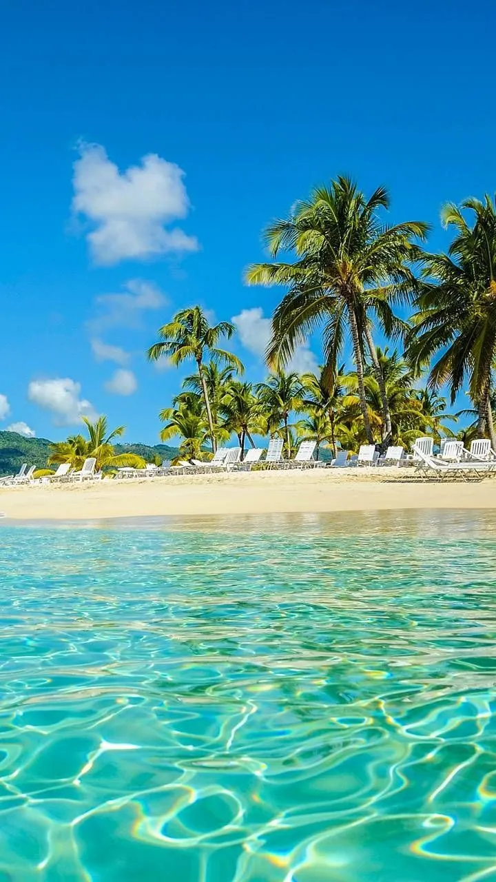 Tropical Beach wallpaper