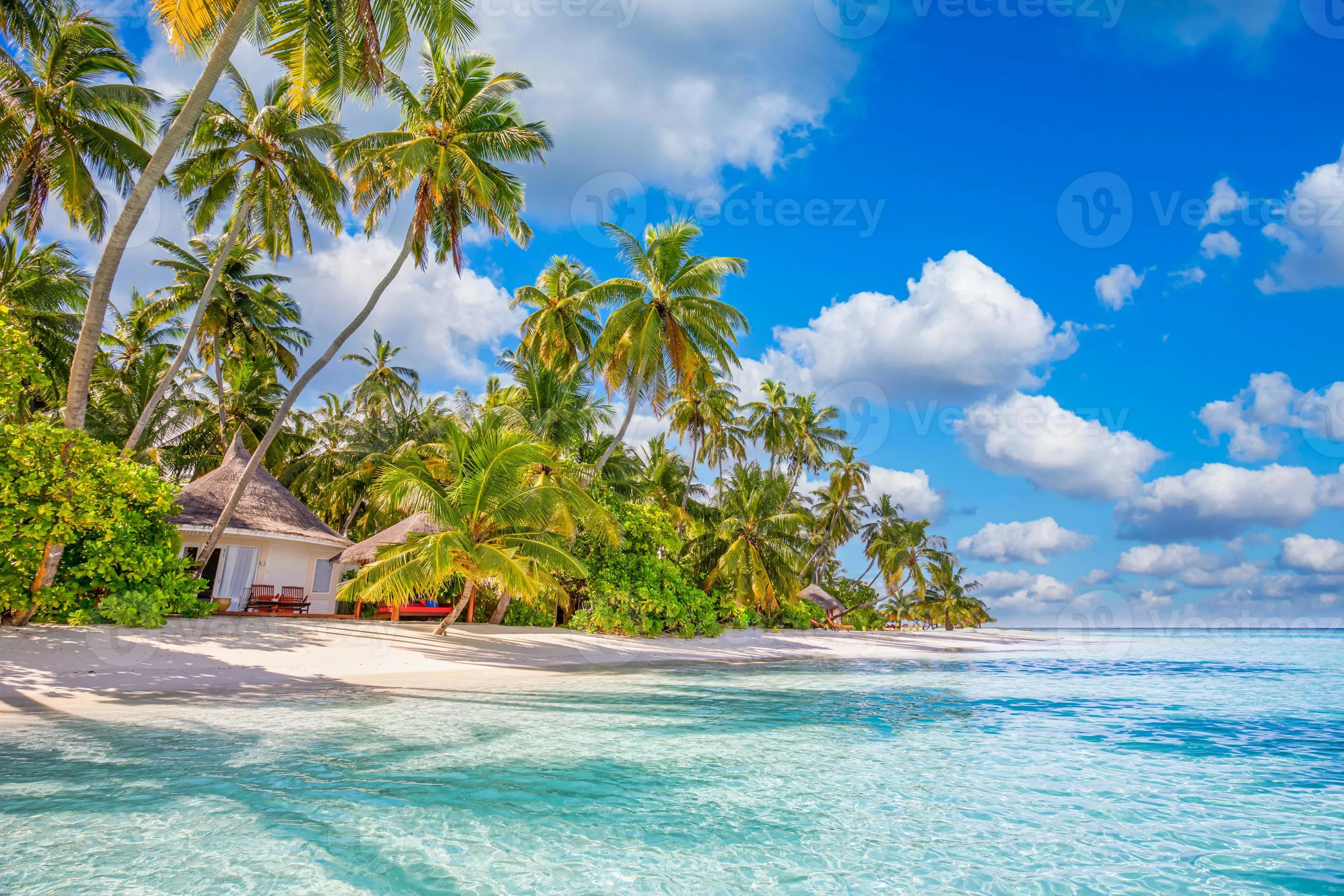 Beautiful tropical beach, calm turquoise sea lagoon white sand, palm trees, against blue sky with clouds on sunny summer day. Perfect landscape background for relaxing vacation, island of Maldives. 8159493
