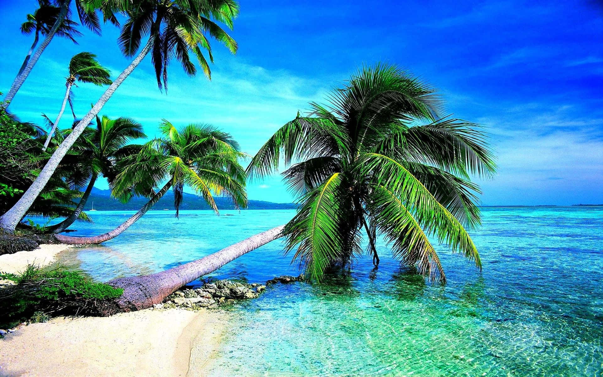 Download Enjoy the beauty of a tranquil tropical beach. Wallpaper