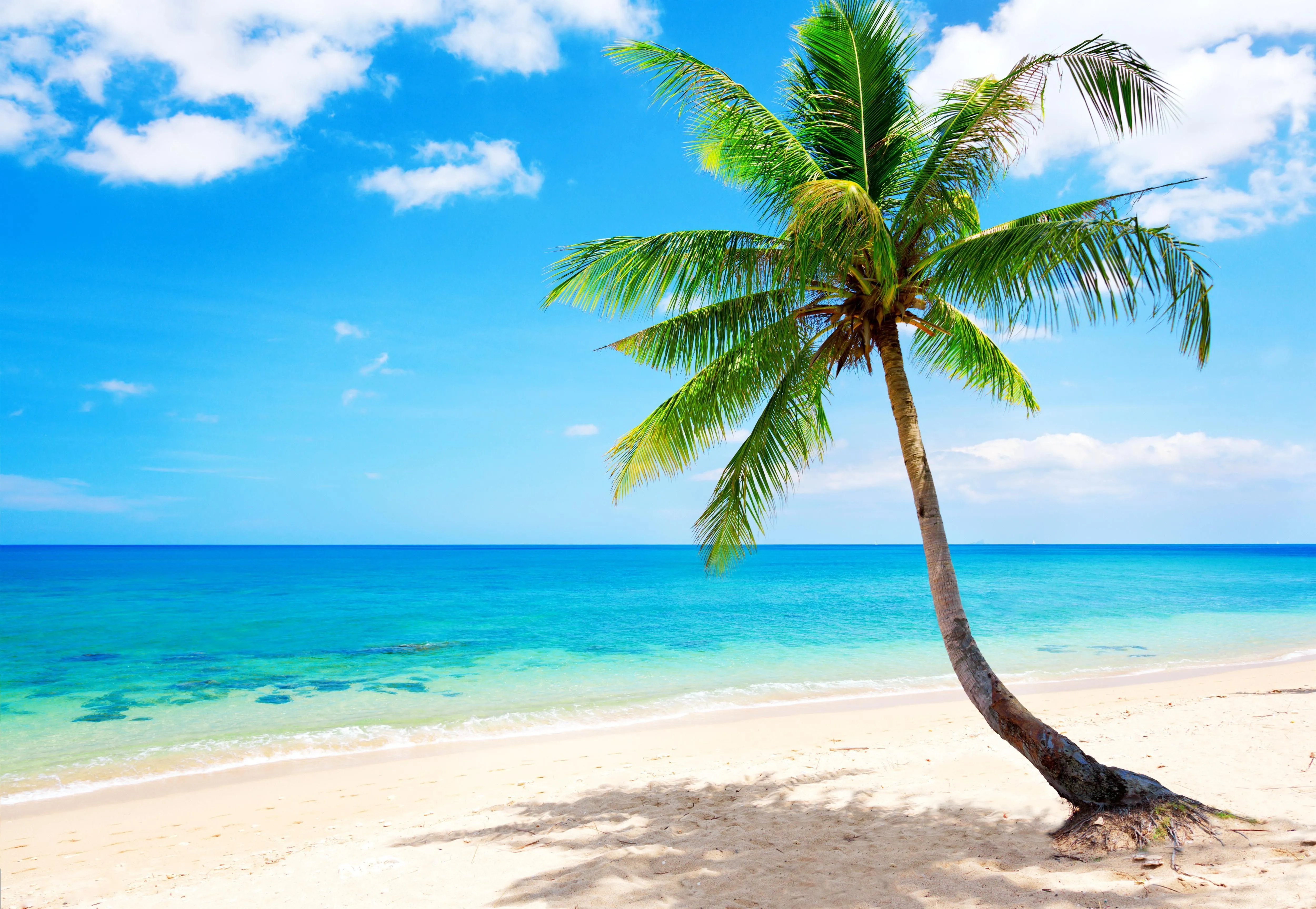 Tropical Beach Wallpaper, HD Background on WallpaperBat