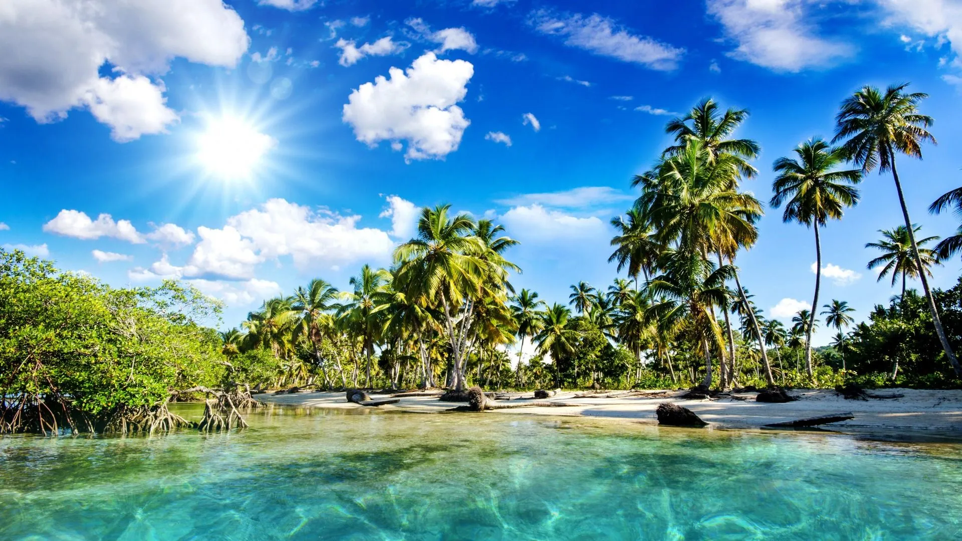 Tropical Beach Best Wallpaper 09075