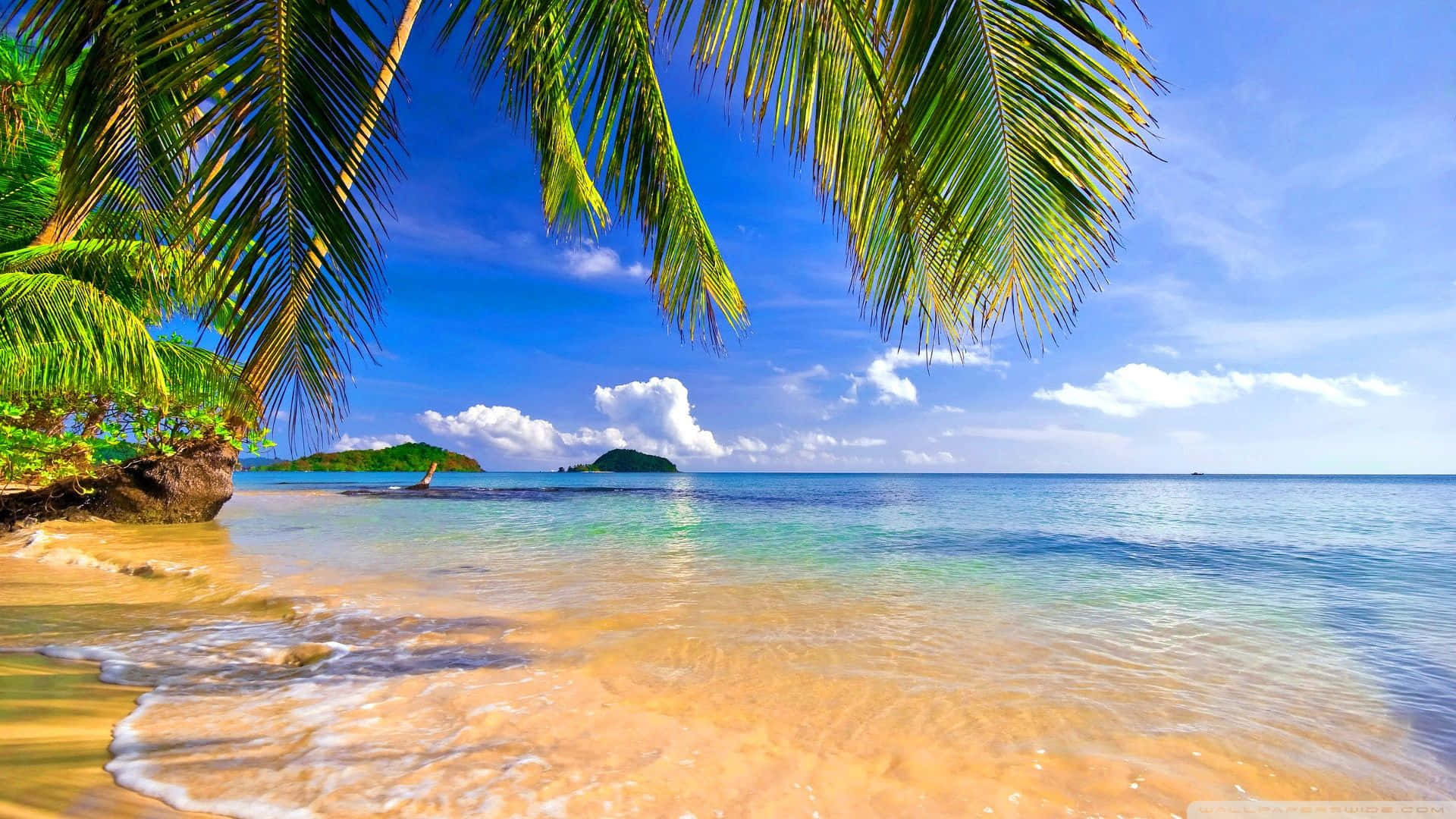 Download Relax and Unwind on a Beautiful Tropical Beach