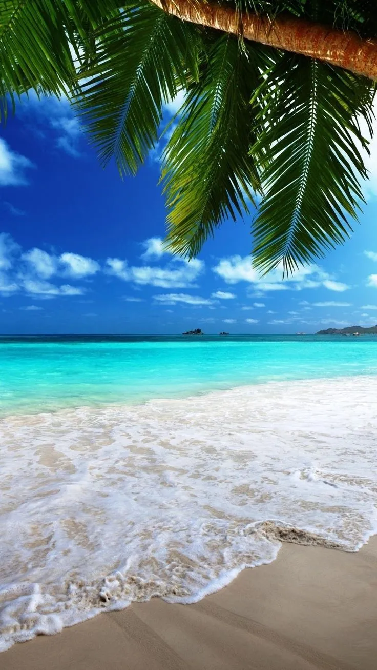 Sun. Beach wallpaper, Beautiful beaches, Beach wall murals
