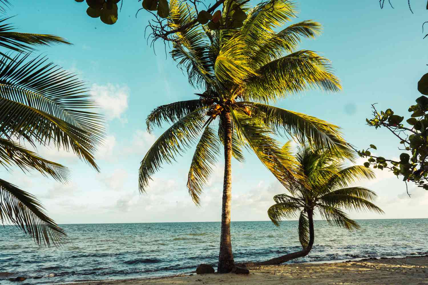 Best Tropical Vacations Worldwide
