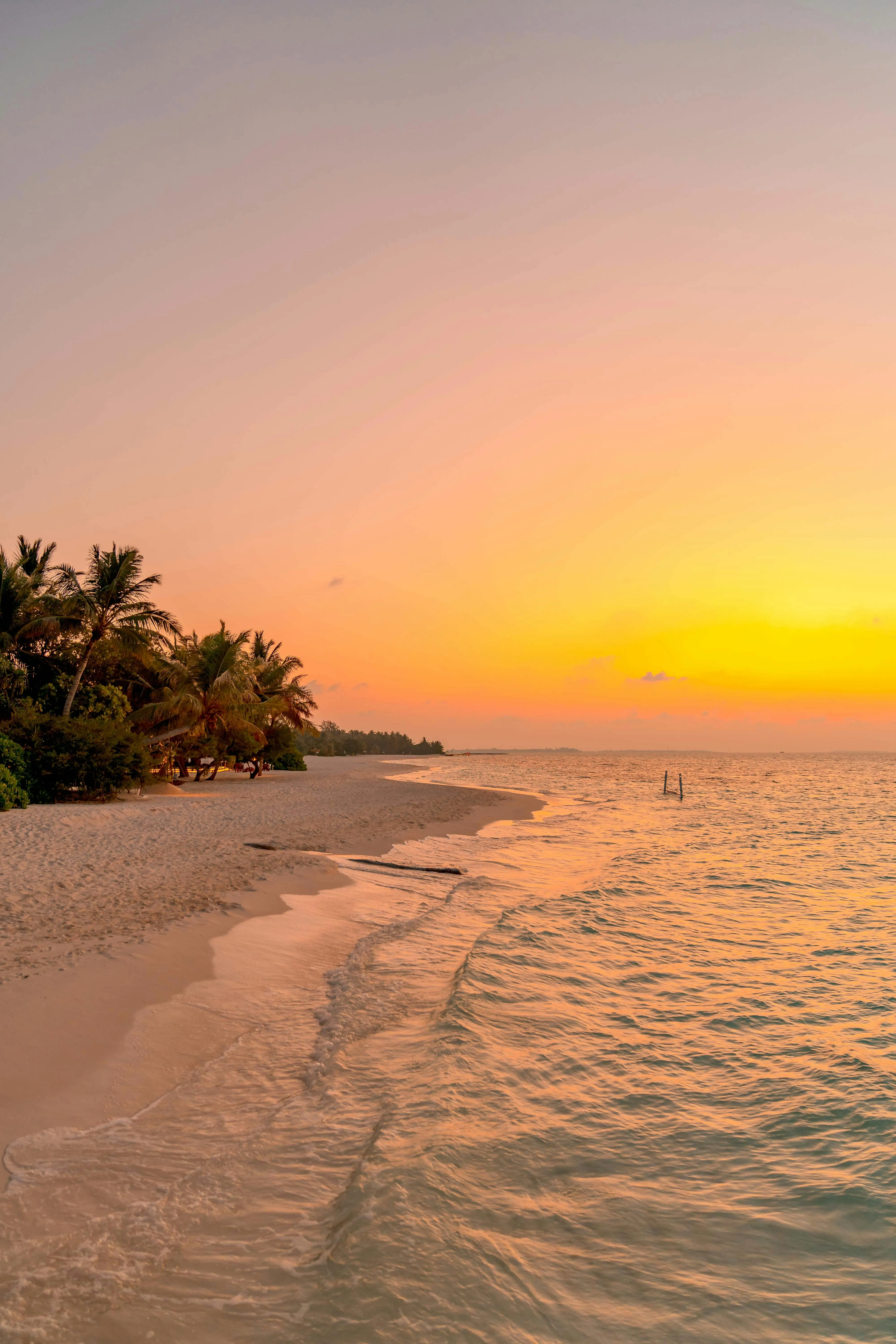 Exotic Beach at Sunrise · Free