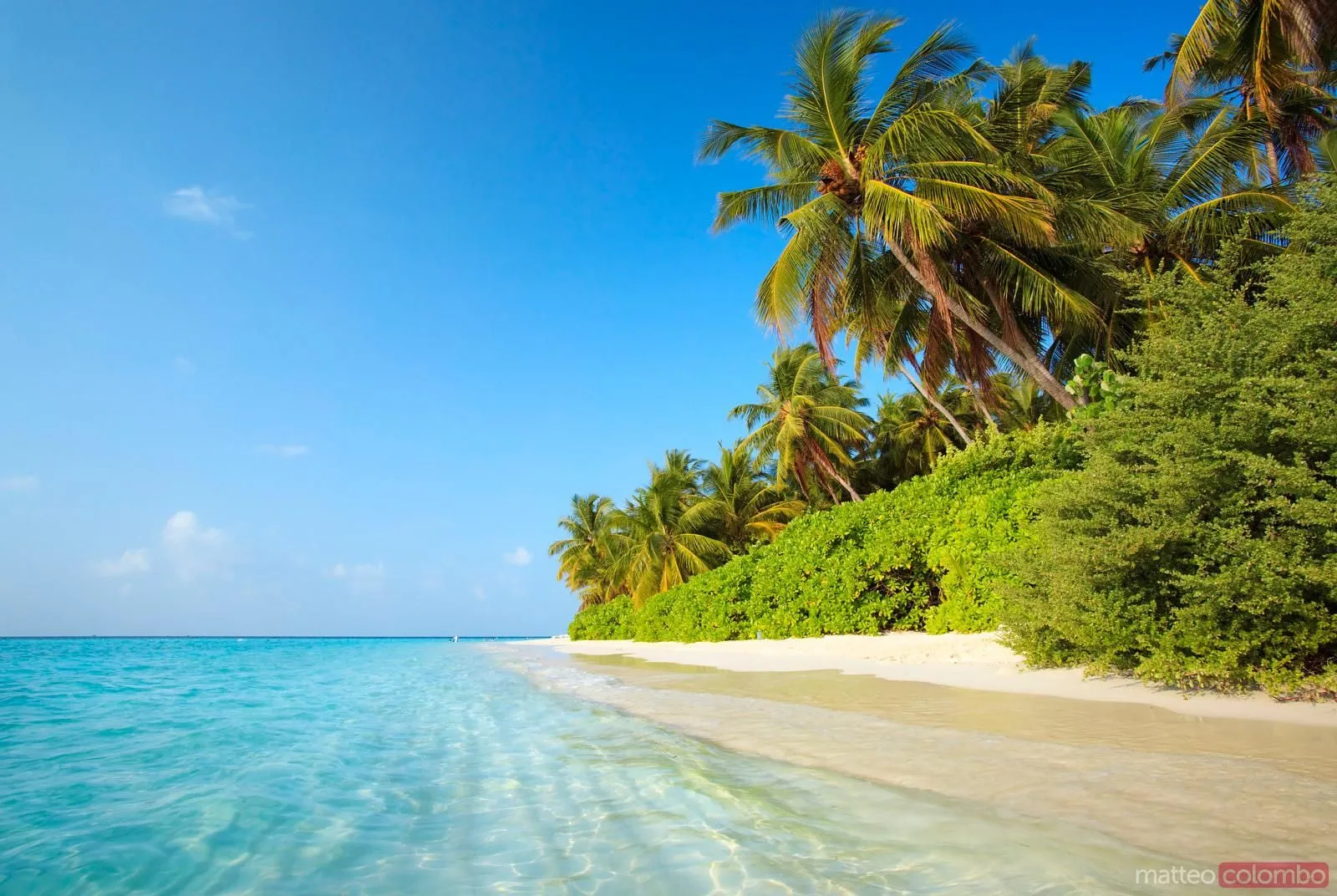 Beautiful tropical beach of an island in the Maldives. Royalty Free Image