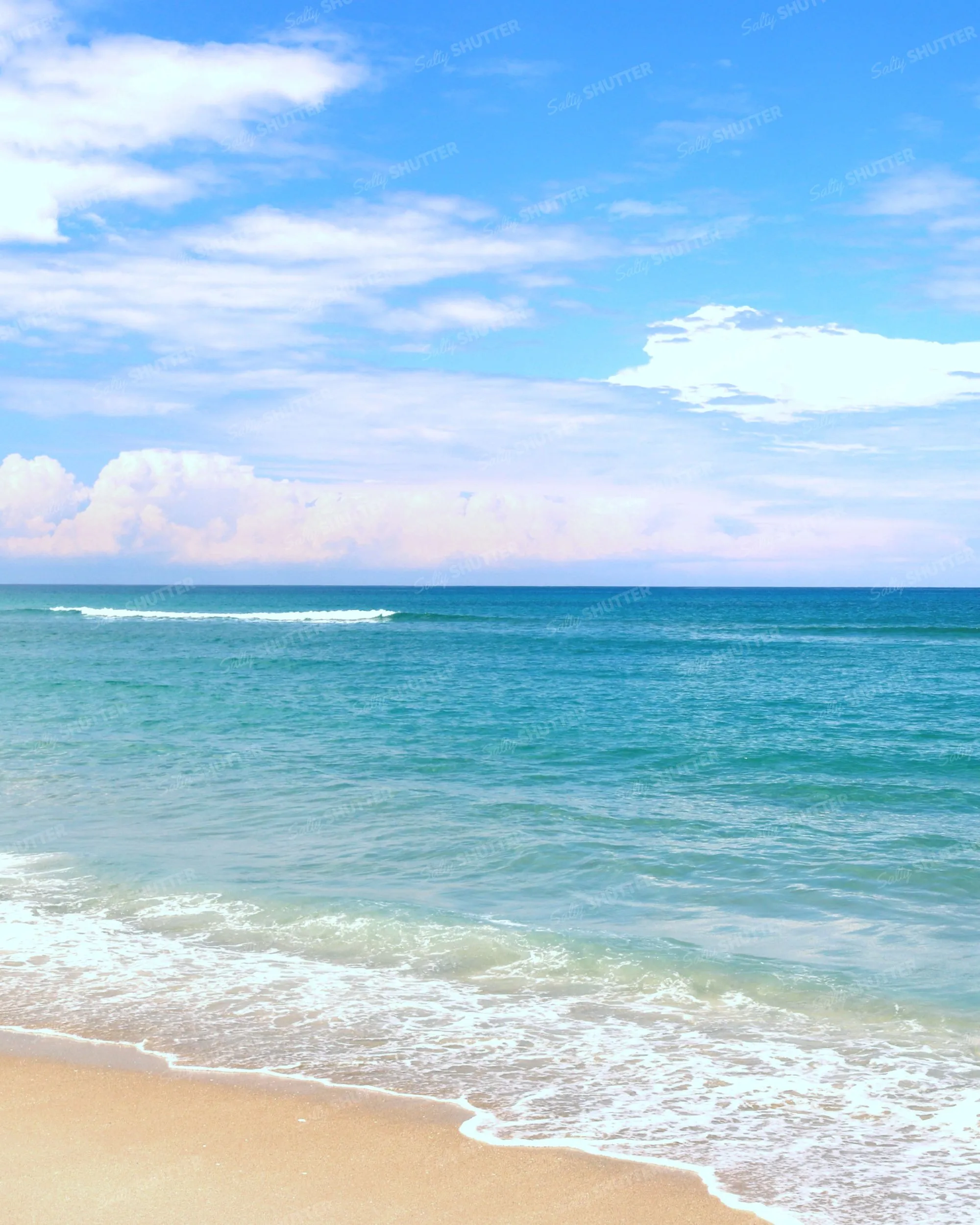 Download Tropical Beach Photo