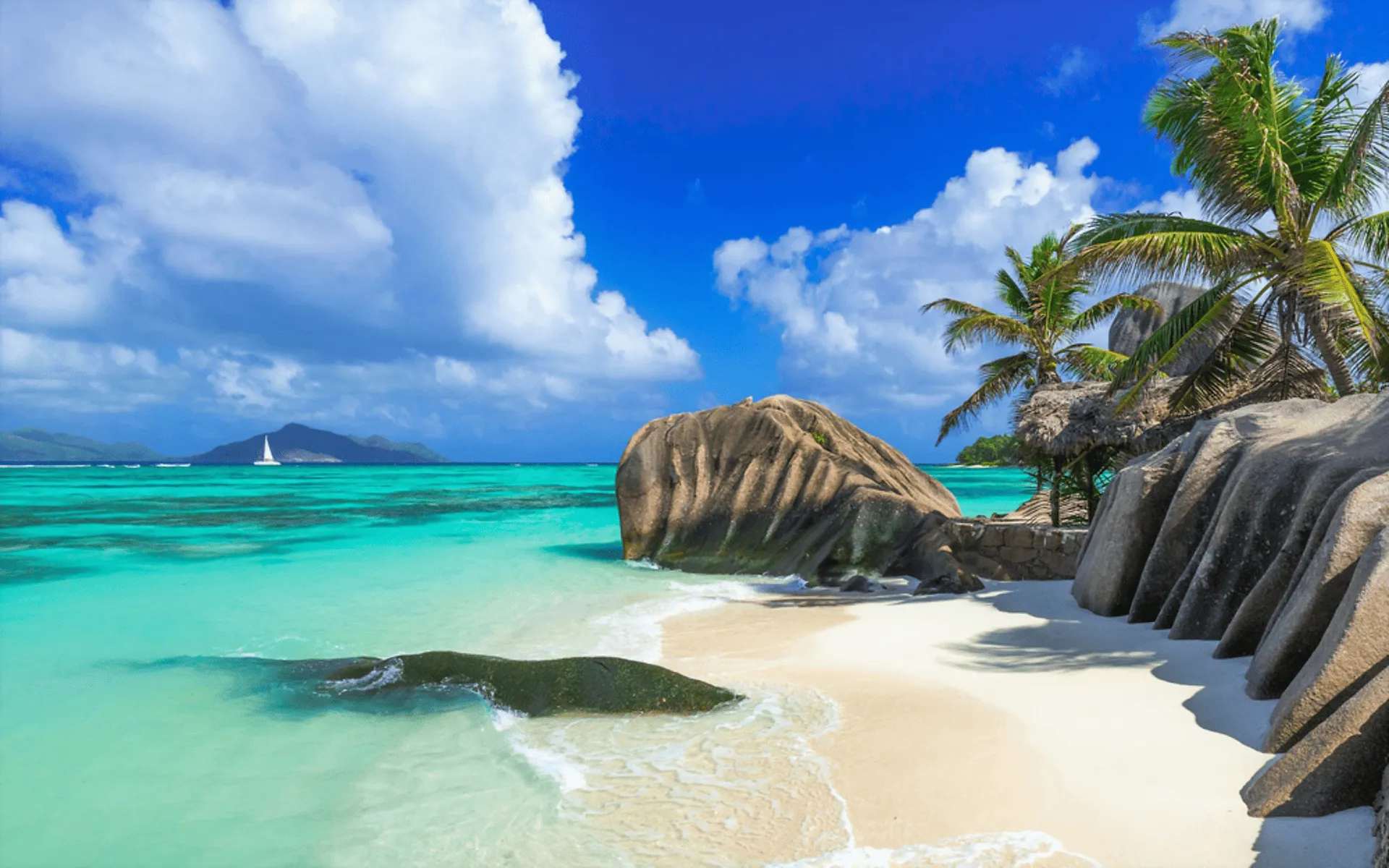 Tropical Seychelles Paradise: Pristine Palm Beach & Crystal Clear Ocean View HD Wallpaper