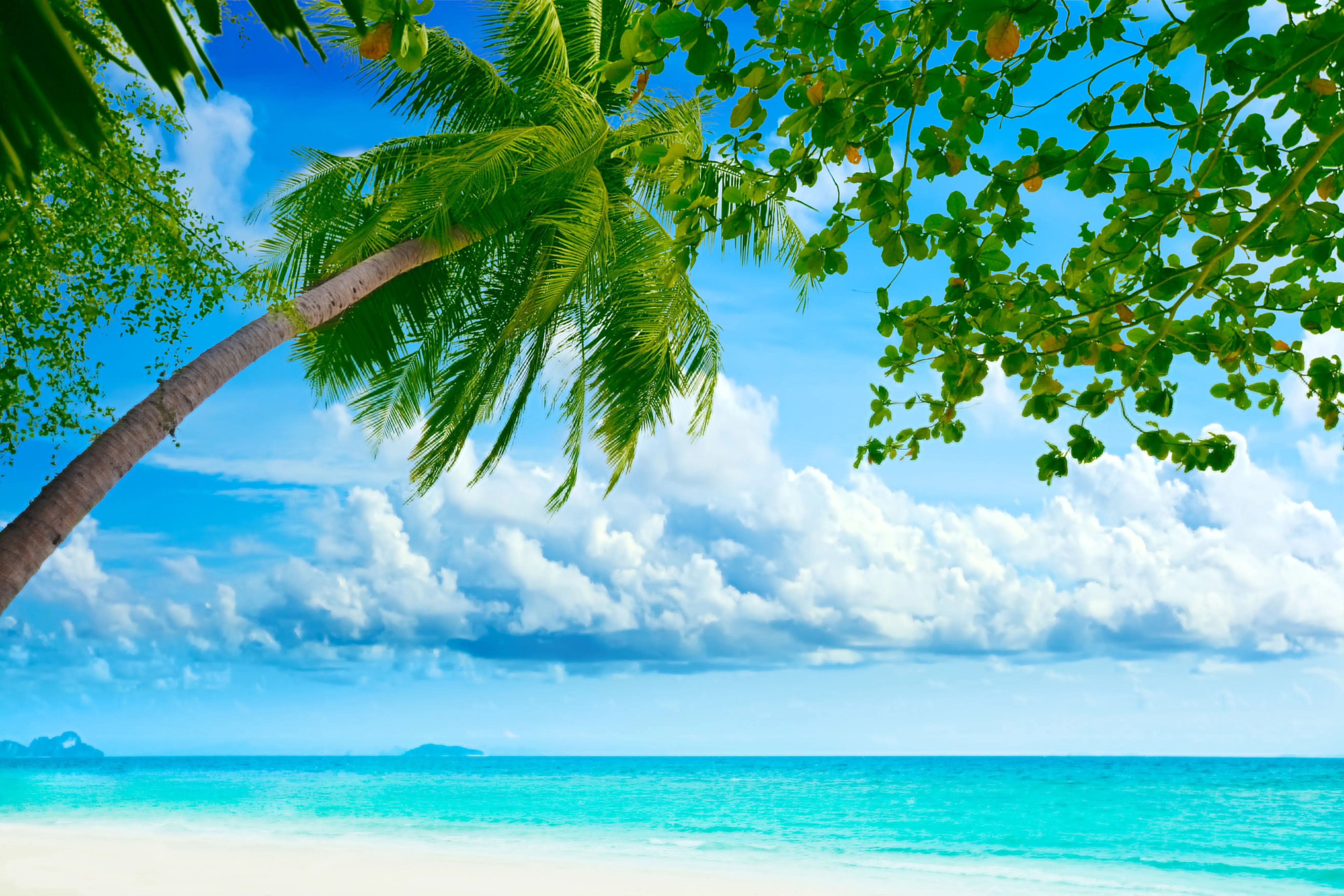 Wallpaper sea, beach, the sky, clouds, landscape, nature, palm trees, shore for mobile and desktop, section природа, resolution 5242x3495