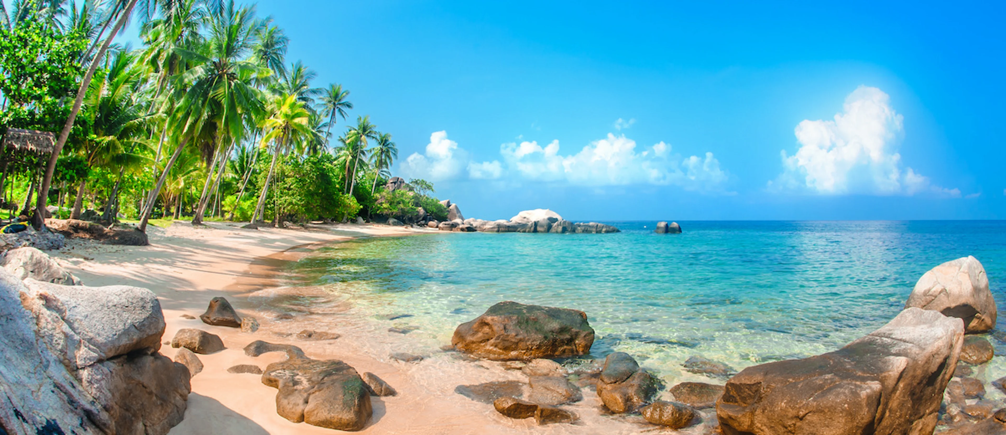 Why We Love the Beach