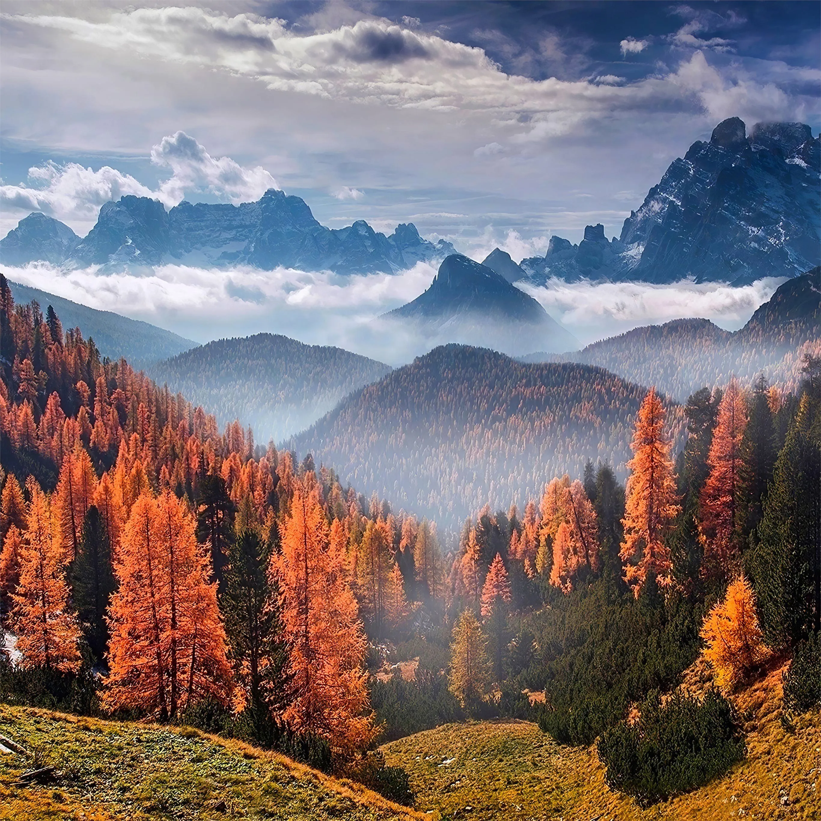 forest landscape clouds 4k iPad Pro Wallpaper Free Download