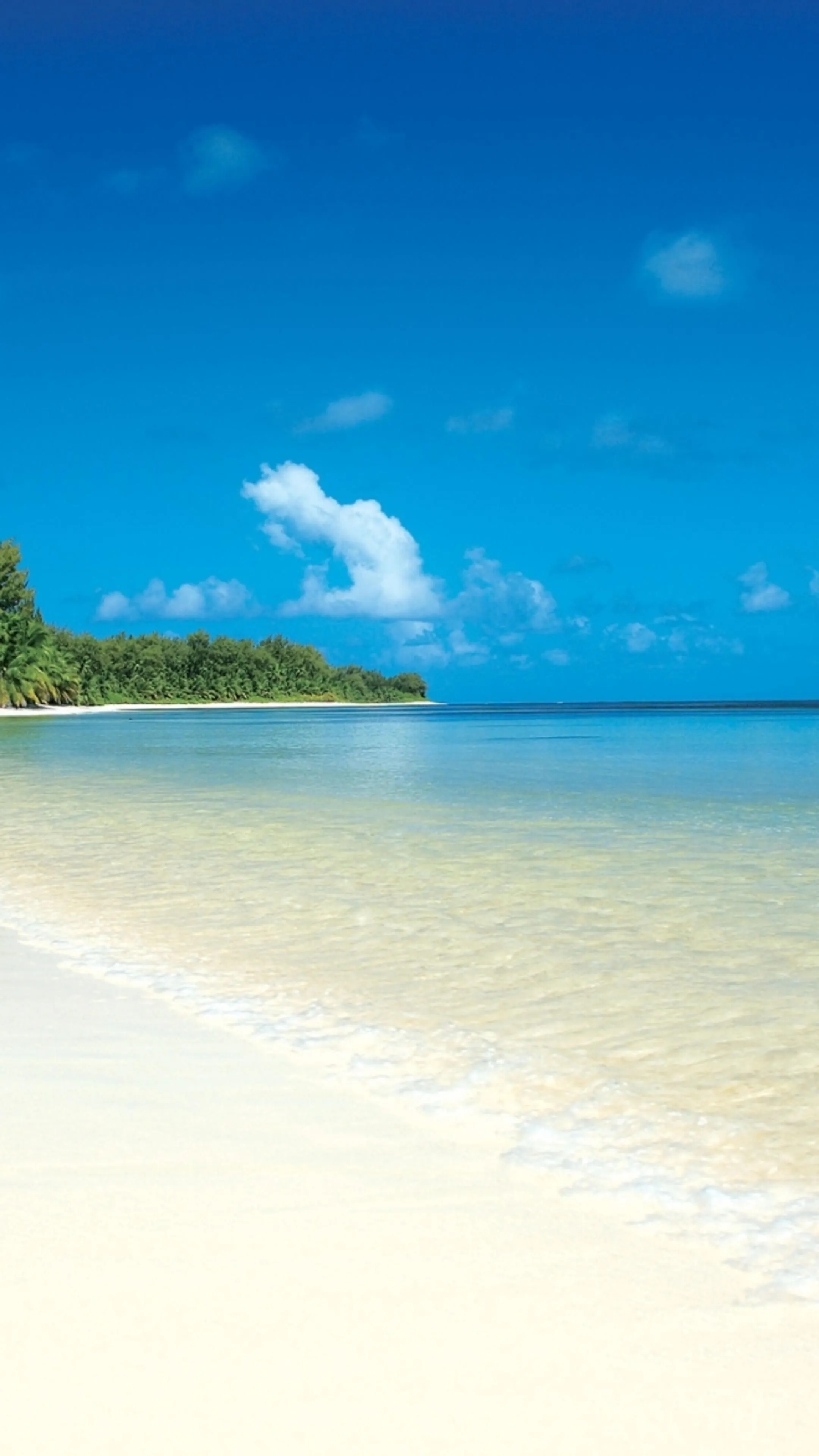 Caribbean Sea Wallpaper