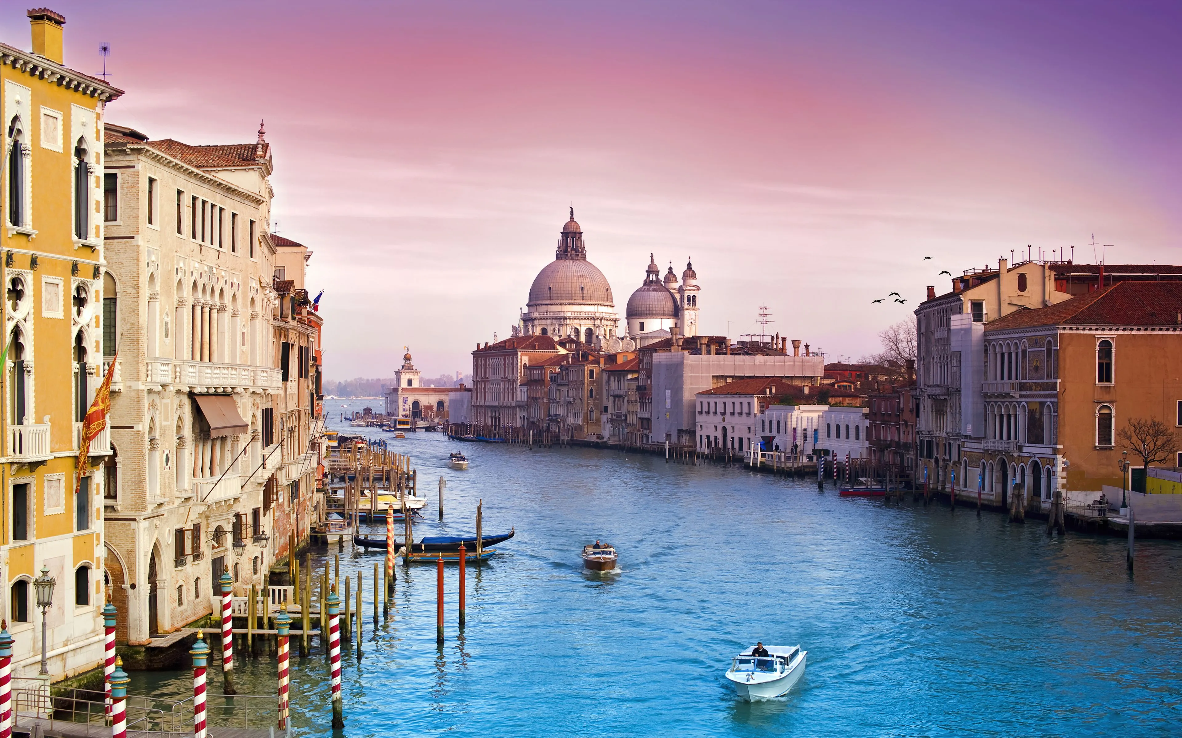 Venice city Wallpaper 4K, Santa Maria della Salute