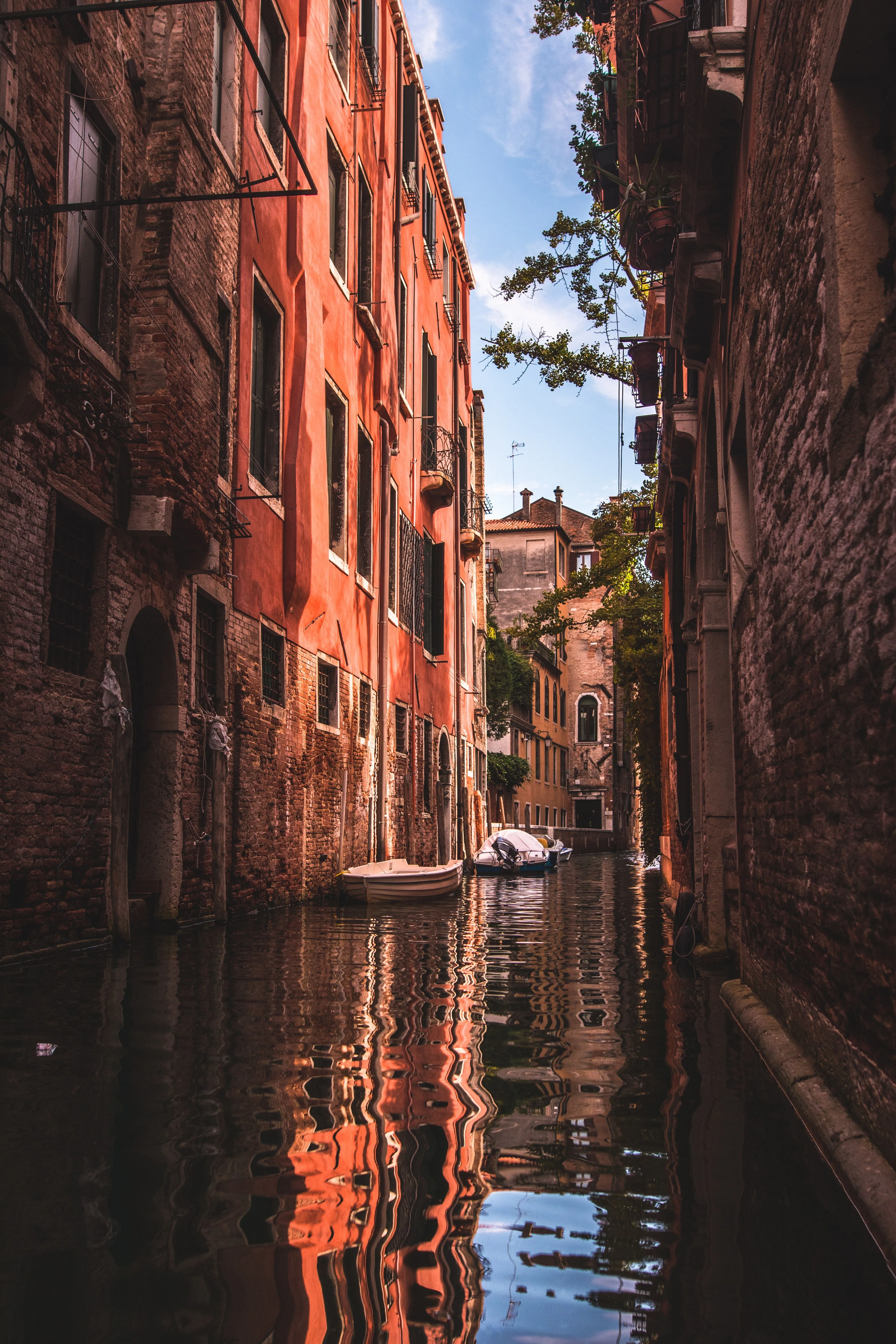 Venice on a low budget