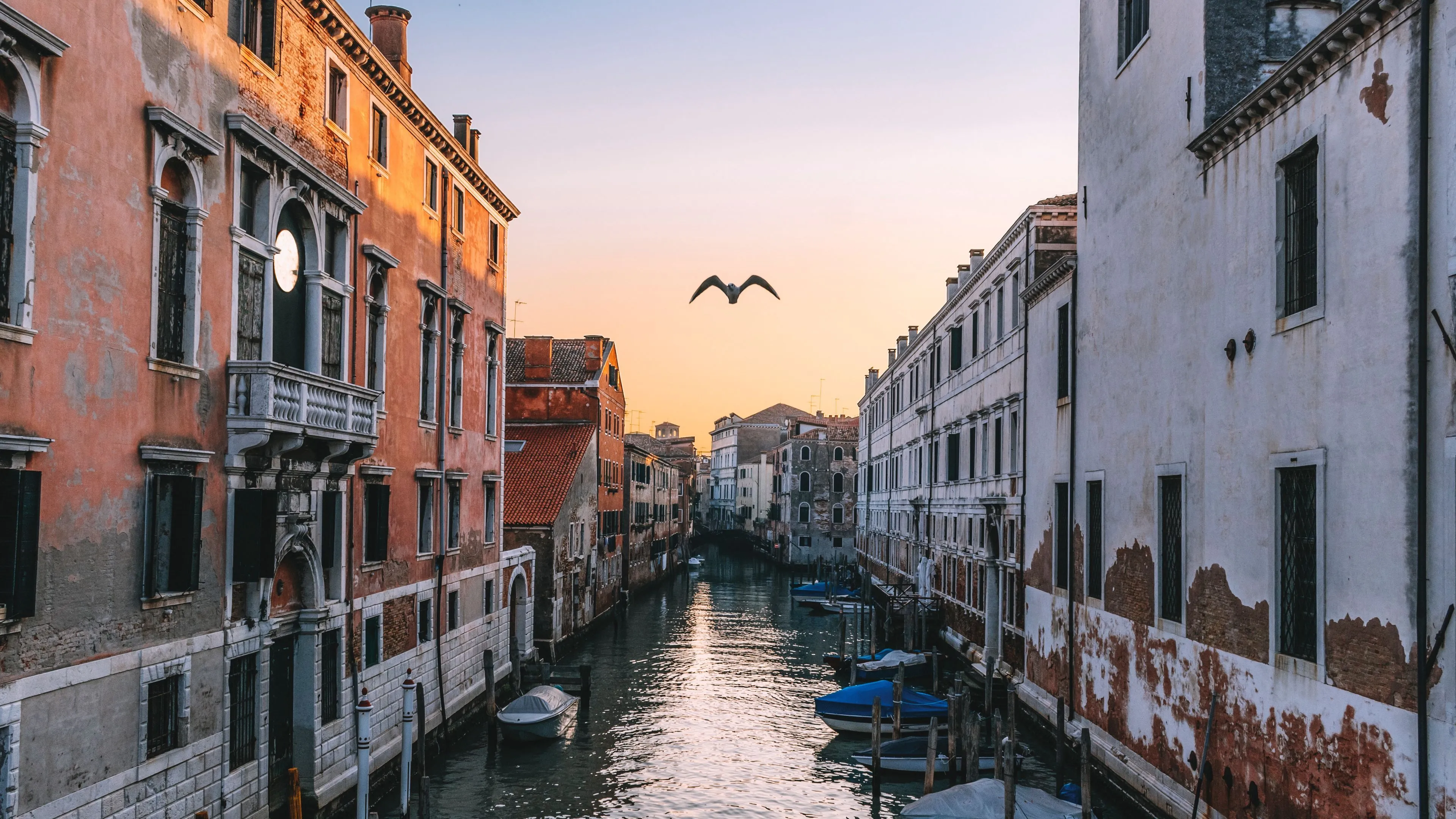 Download wallpaper 3840x2160 venice, italy, canal, seagull, river 4k uhd 16:9 HD background