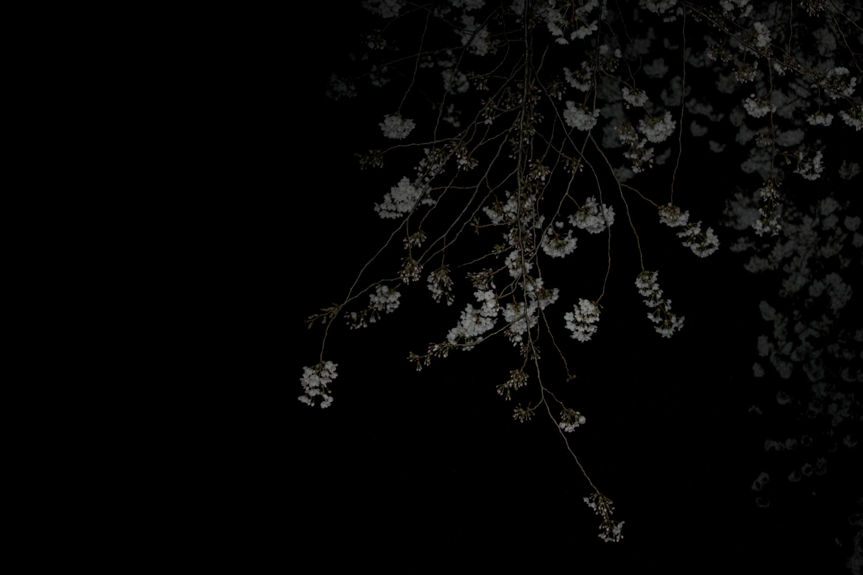 Minimal Dark Picture Image