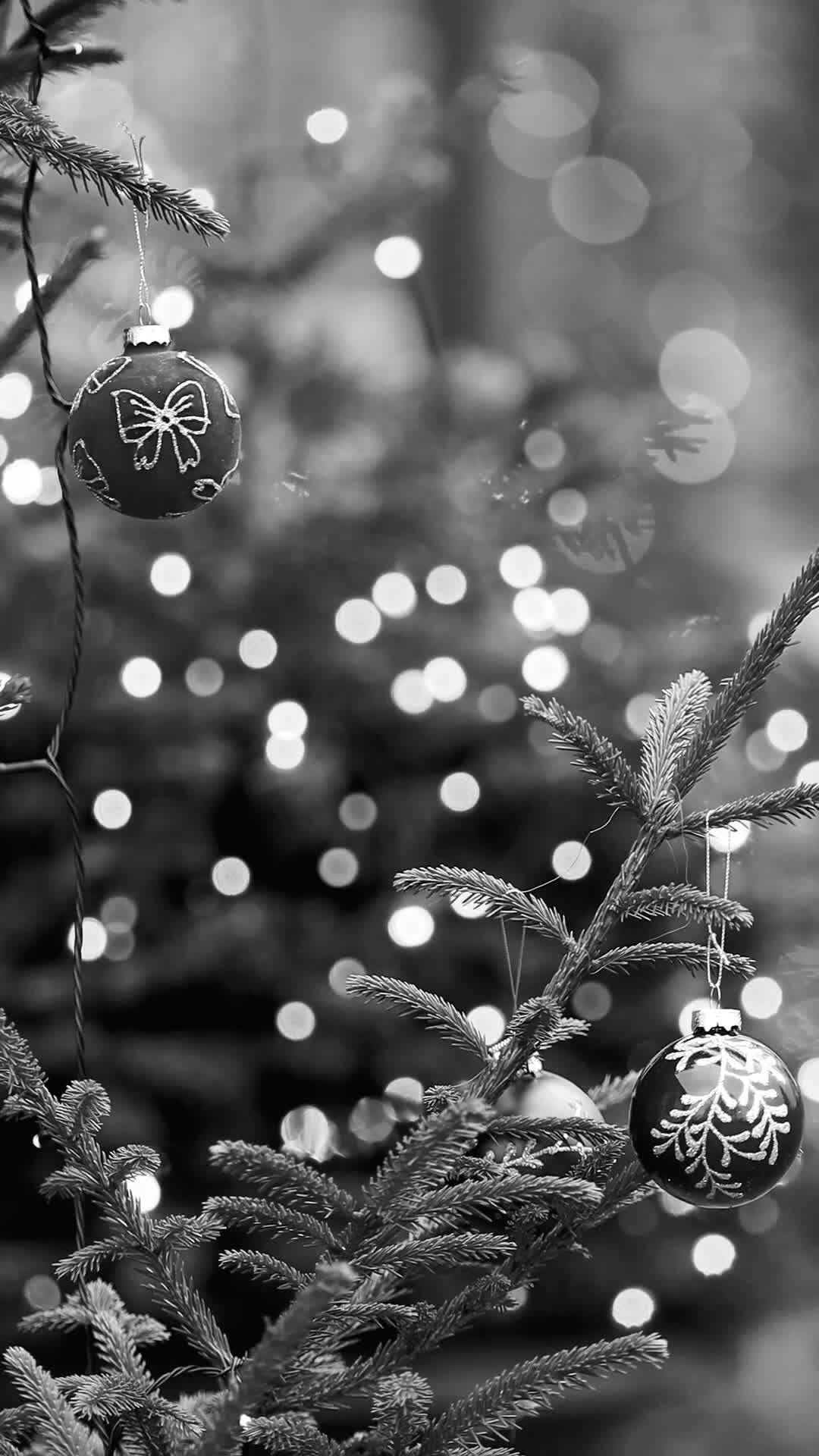 Black And White Christmas Tree Elegance Free Stock Video Footage, Royalty Free 4K & HD Video Clip