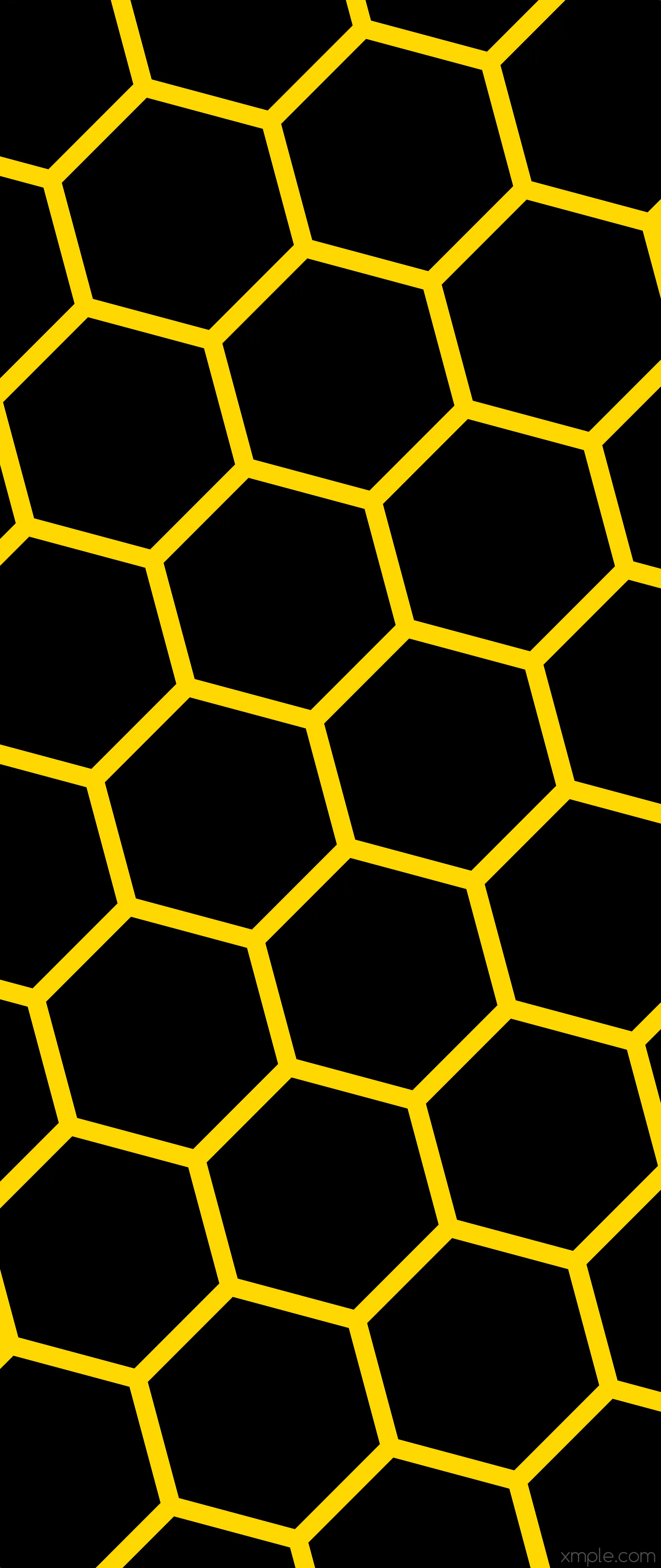 Beehive honeycomb black yellow hexagon 1440x1440 wallpaper 4K HD