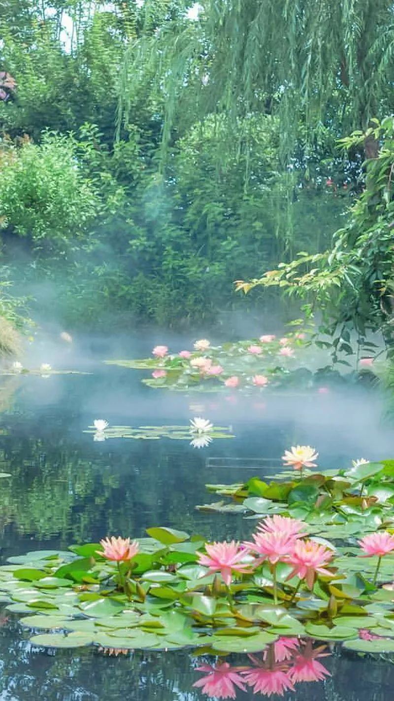 Forest, aesthetic, blue, flowers, green, landscape, nature, pastel, pink, water, HD phone wallpaper