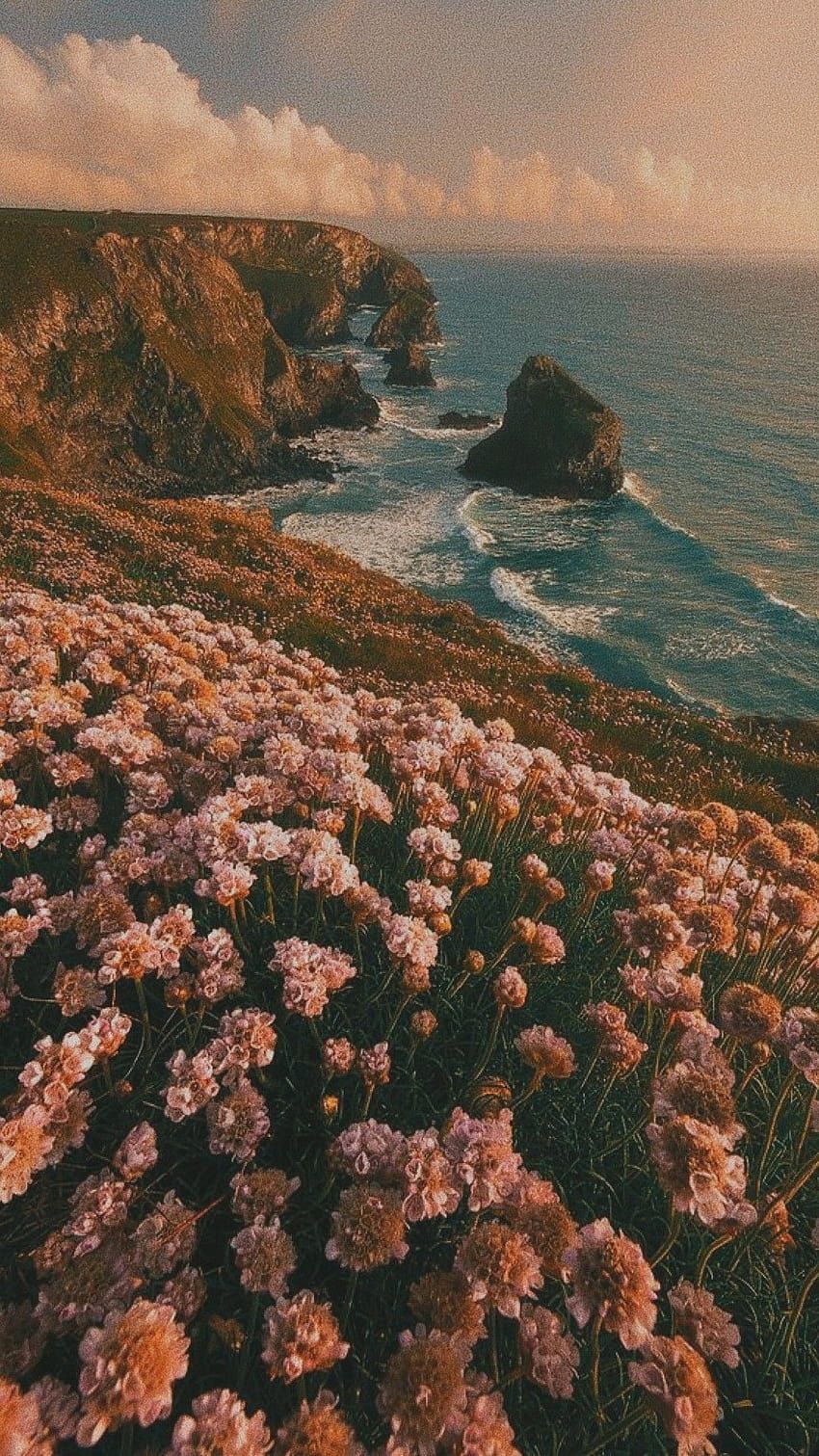 Aesthetic, iPhone ., landscape vintage aesthetic HD phone wallpaper