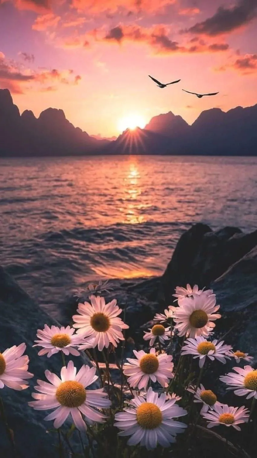 IPhone. Sky, Nature, Natural landscape, Sunset, Aesthetic Sunset HD phone wallpaper