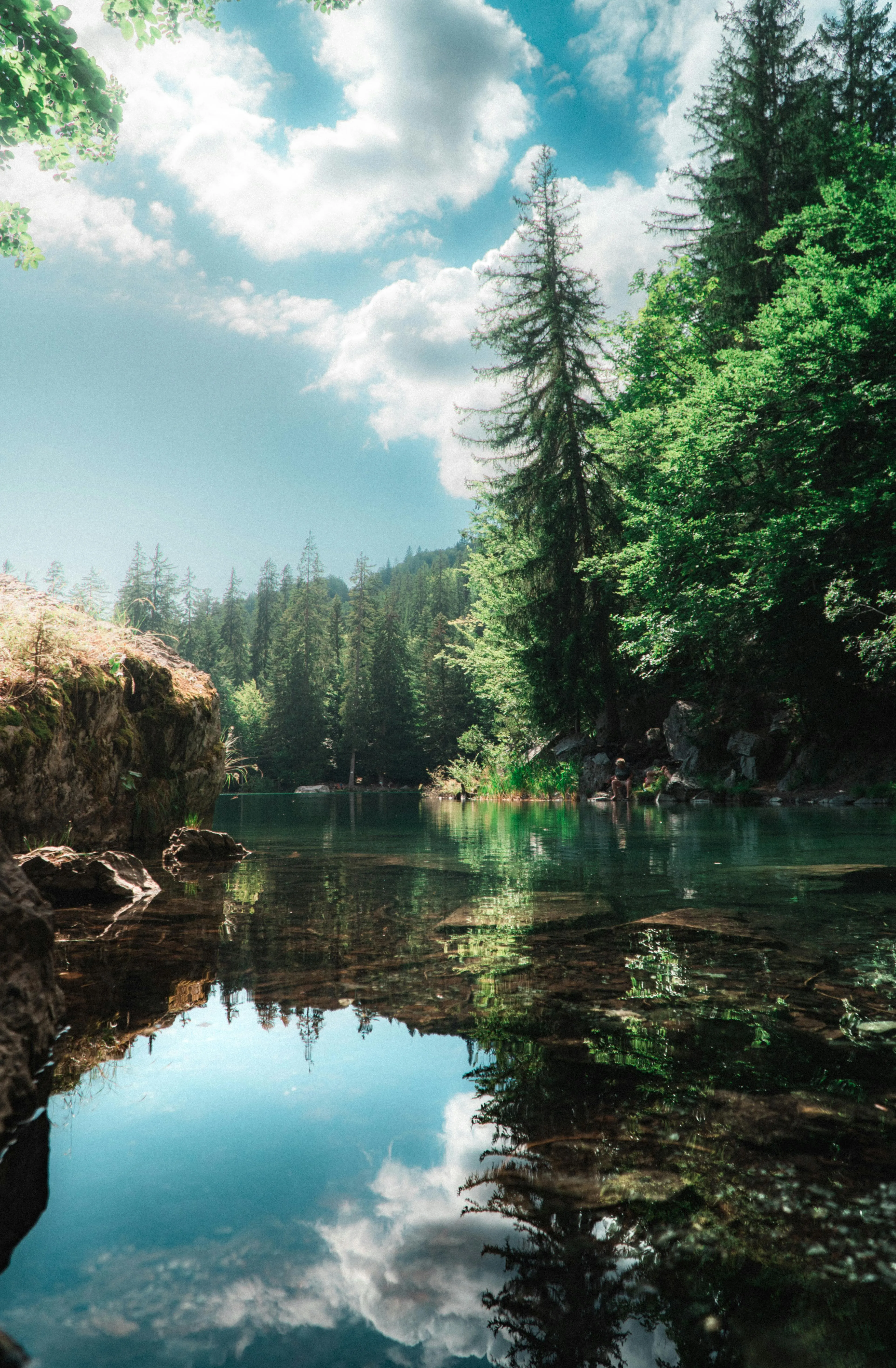 Landscape with Green Trees and Blue Sky Reflecting in a Pond · Free