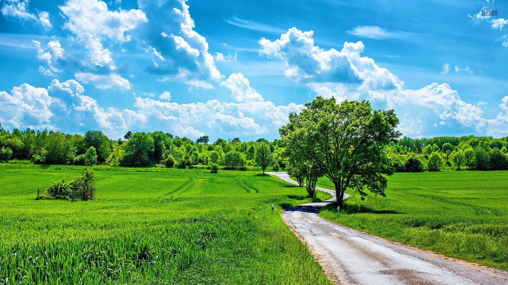 Serene Nature HD: Rolling Fields Under Vibrant Skies