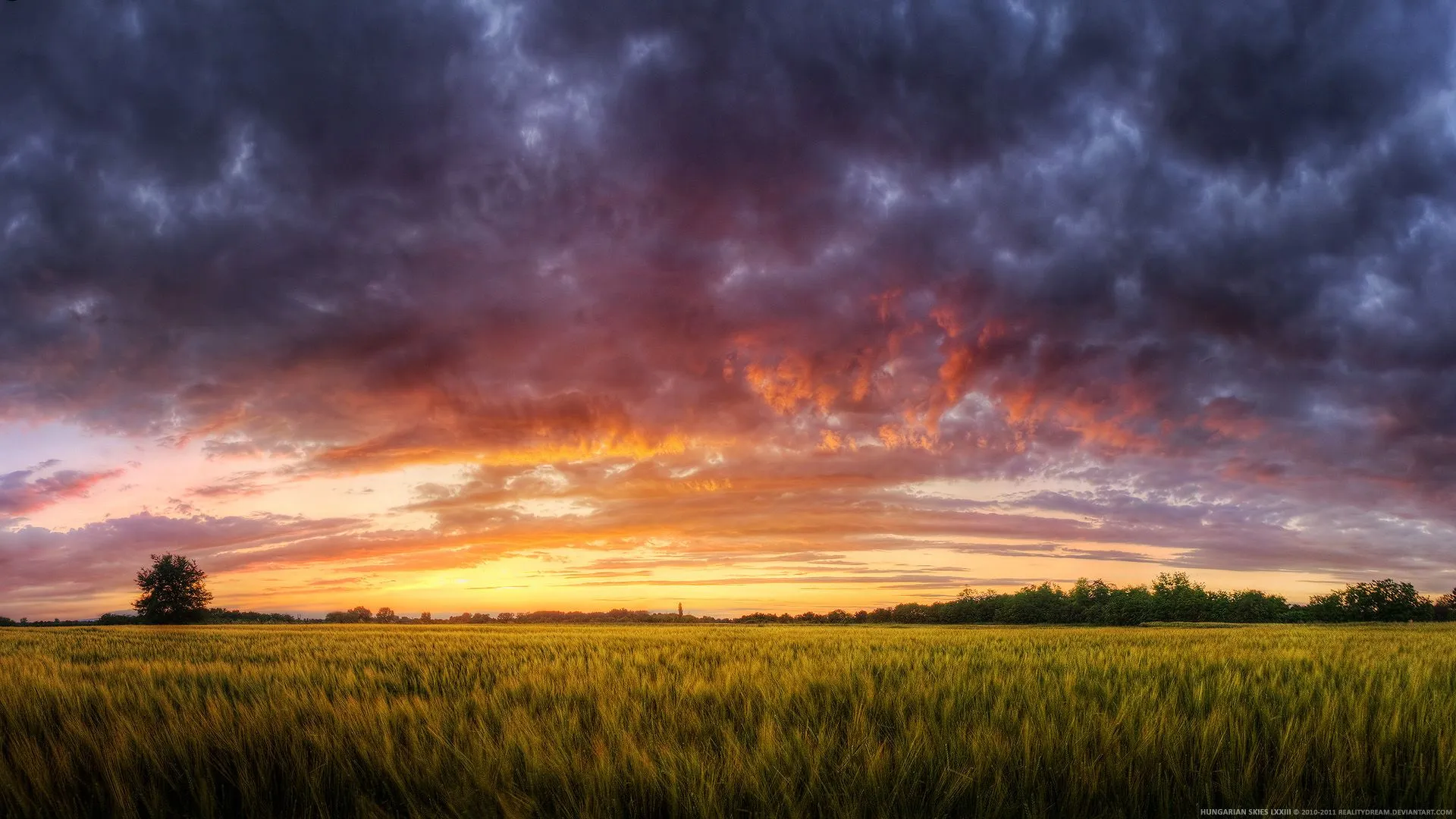 Serene Sunset: A Stunning HD Wallpaper of Nature's Field