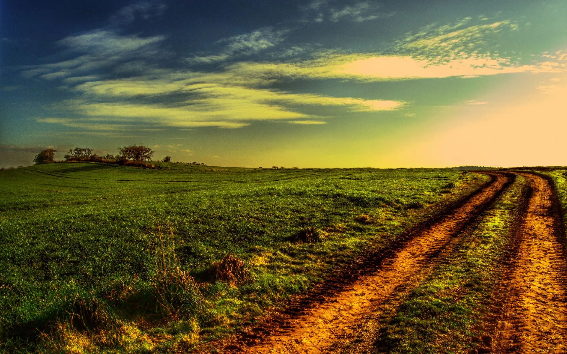 sunset, Field, Road, Landscape Wallpaper HD / Desktop and Mobile Background