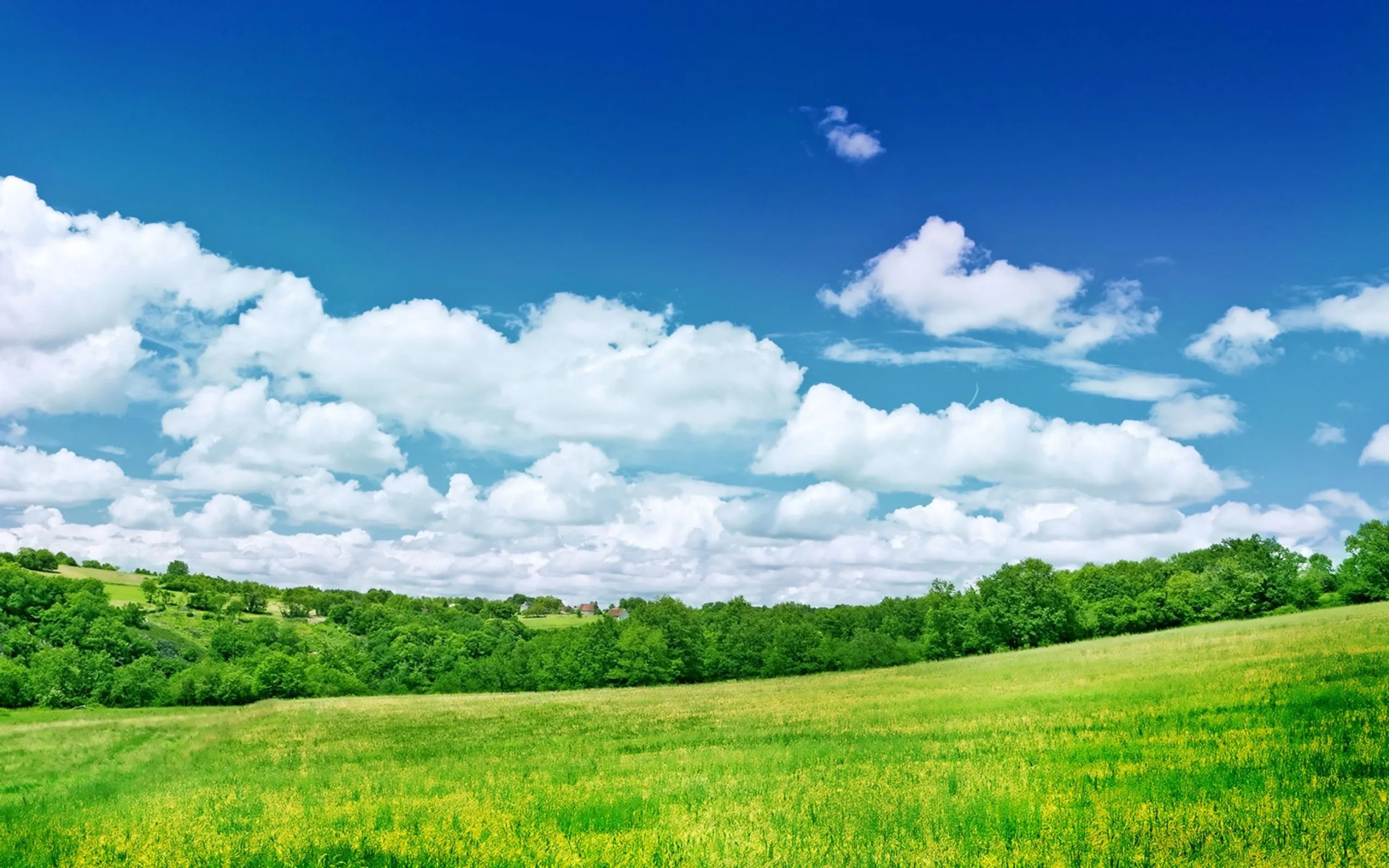 Blue sky with white clouds over green field Desktop wallpaper 2560x1600