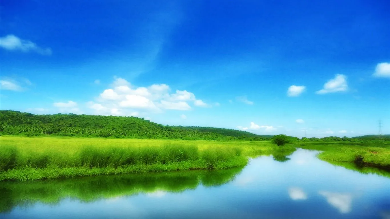 Green Field With Blue Sky Scenery HD Wallpaper