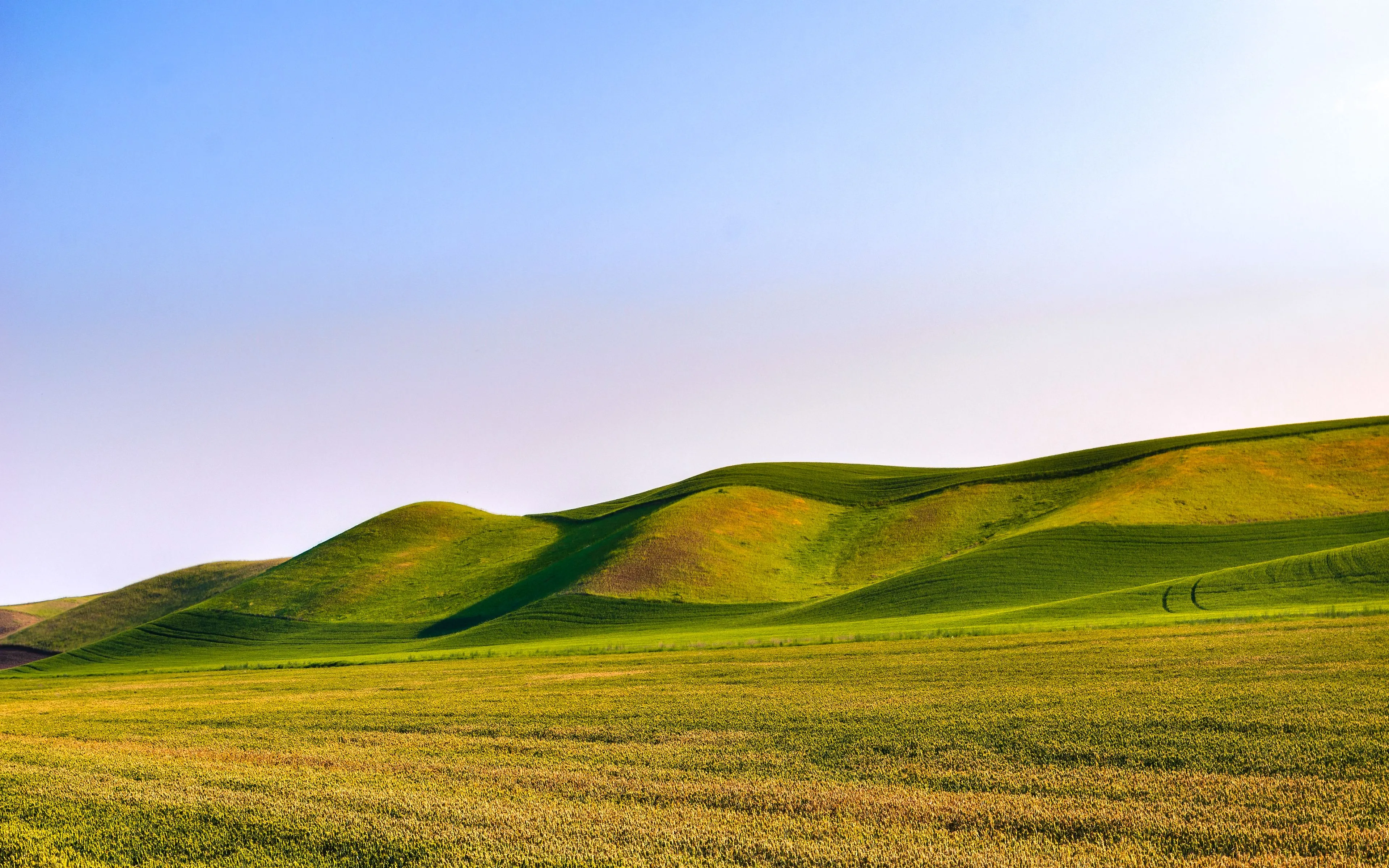 Great Field Dunes Wallpaper 4K, Green Meadow, Landscape, Scenery