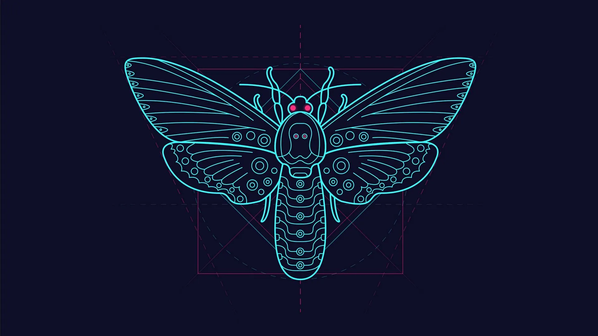 Download wallpaper 1920x1080 moth, pattern, art, geometry, symmetry full hd, hdtv, fhd, 1080p HD background