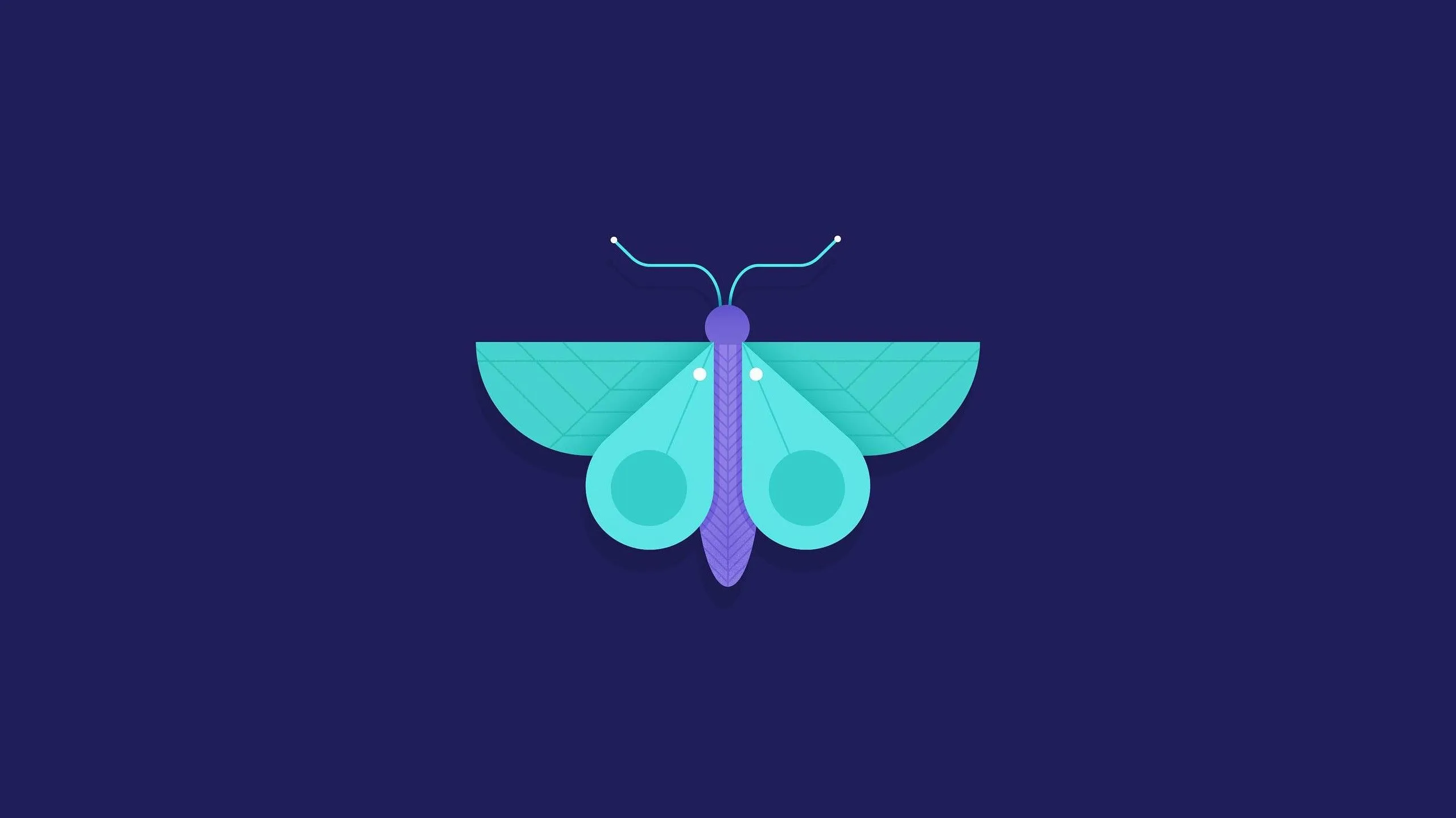 Desktop Moths And Butterflies Wallpaper Free High Quality Background