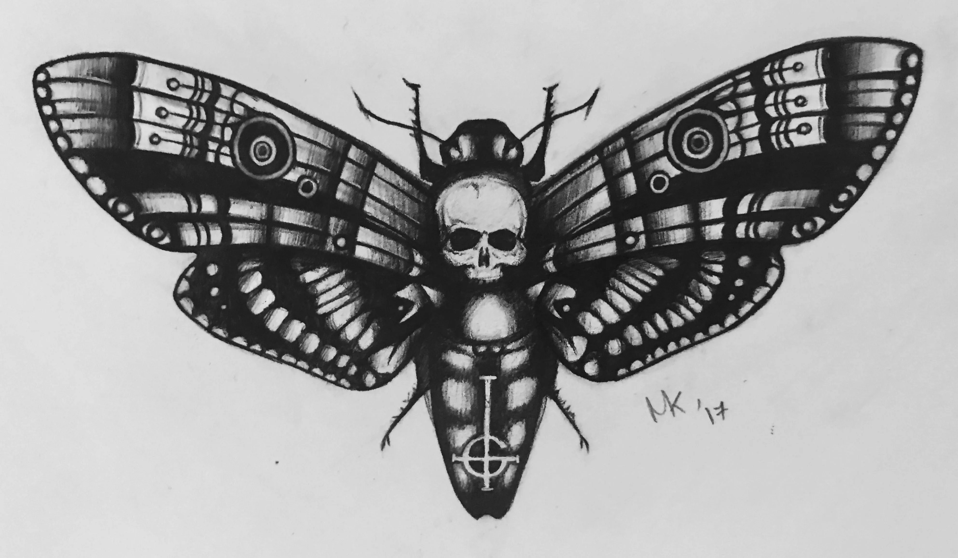 Moth Background HD Wallpaper 75243
