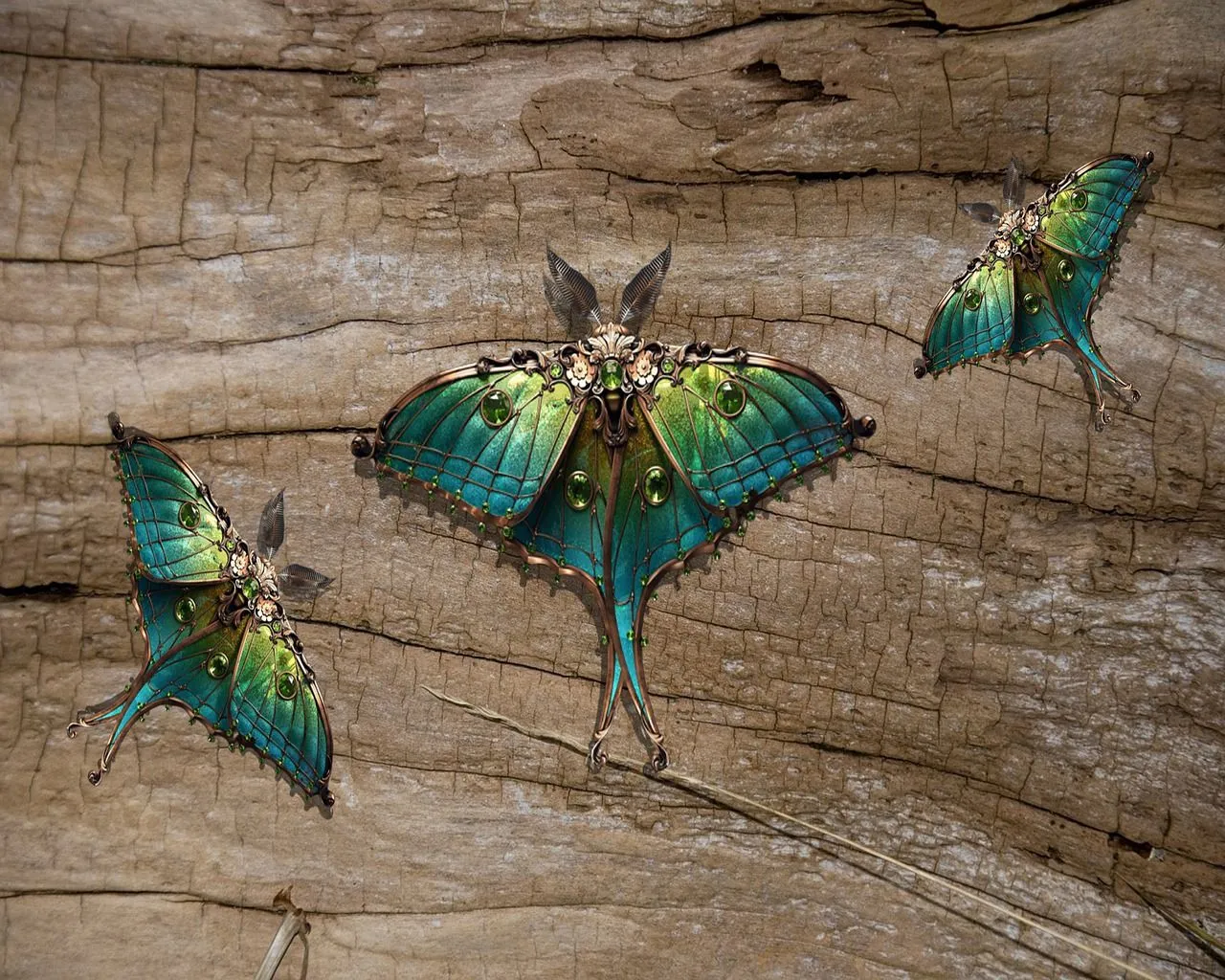 Download Moths Butterfly Insects. Royalty Free Stock Illustration Image