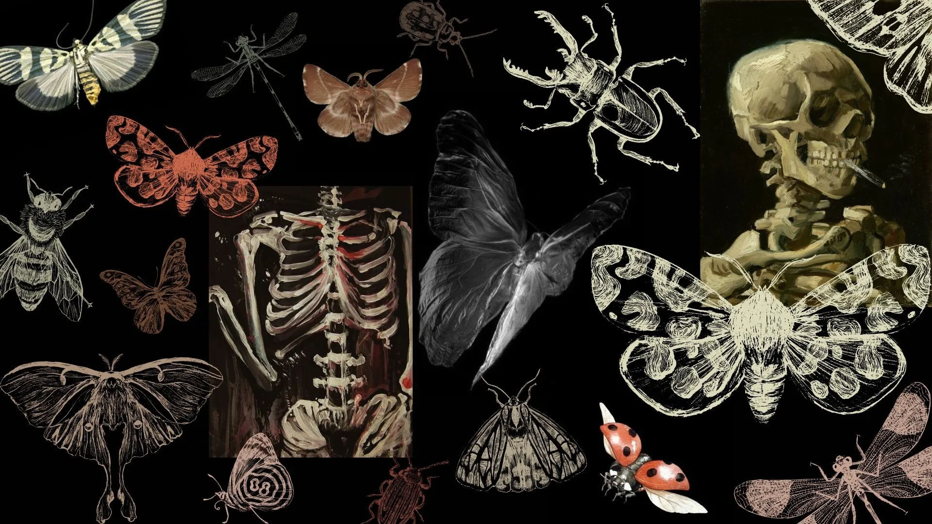 Desktop wallpaper ideas to save today. wallpaper, cute laptop wallpaper, macbook wallpaper and more