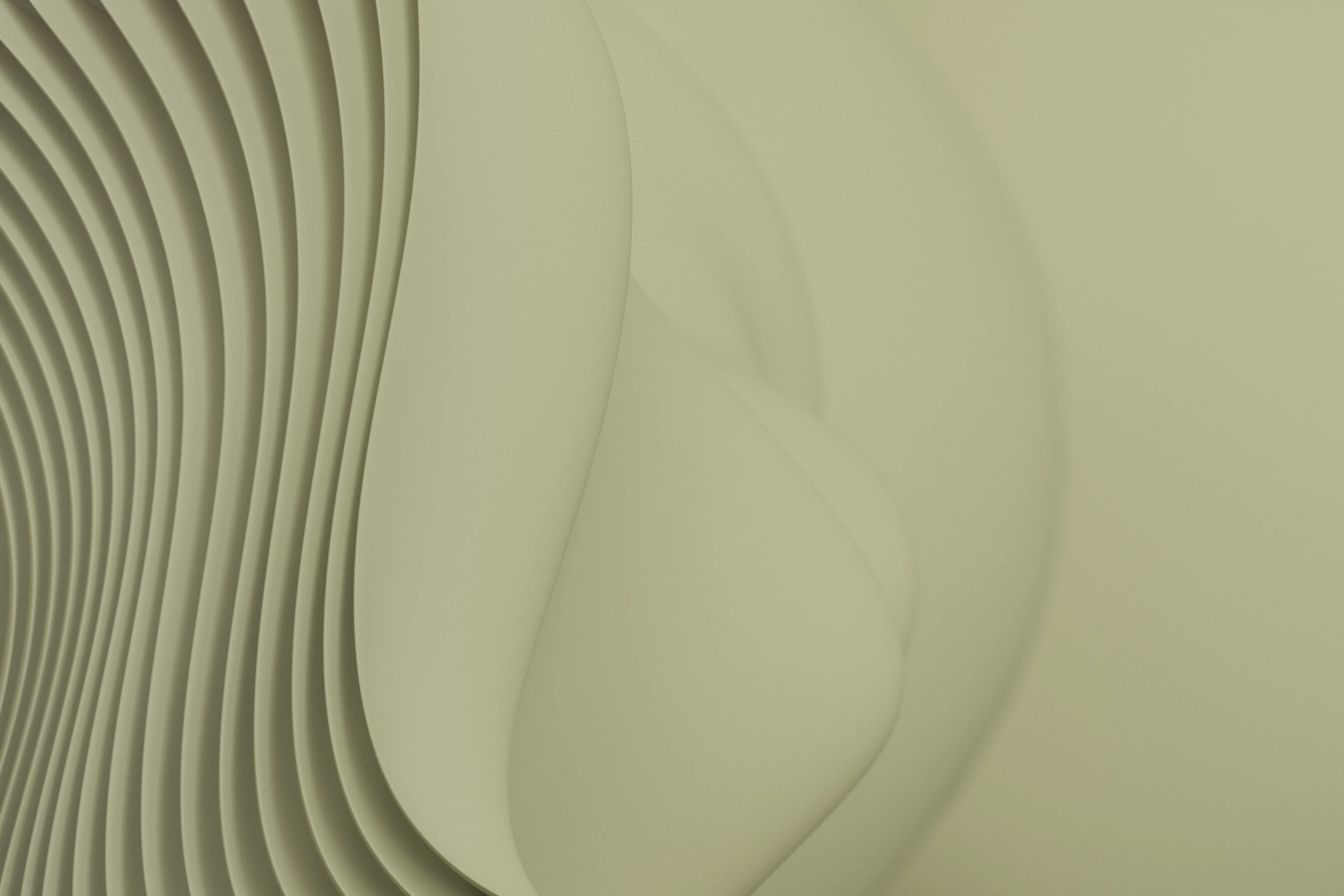 Olive Green Picture. Download Free Image