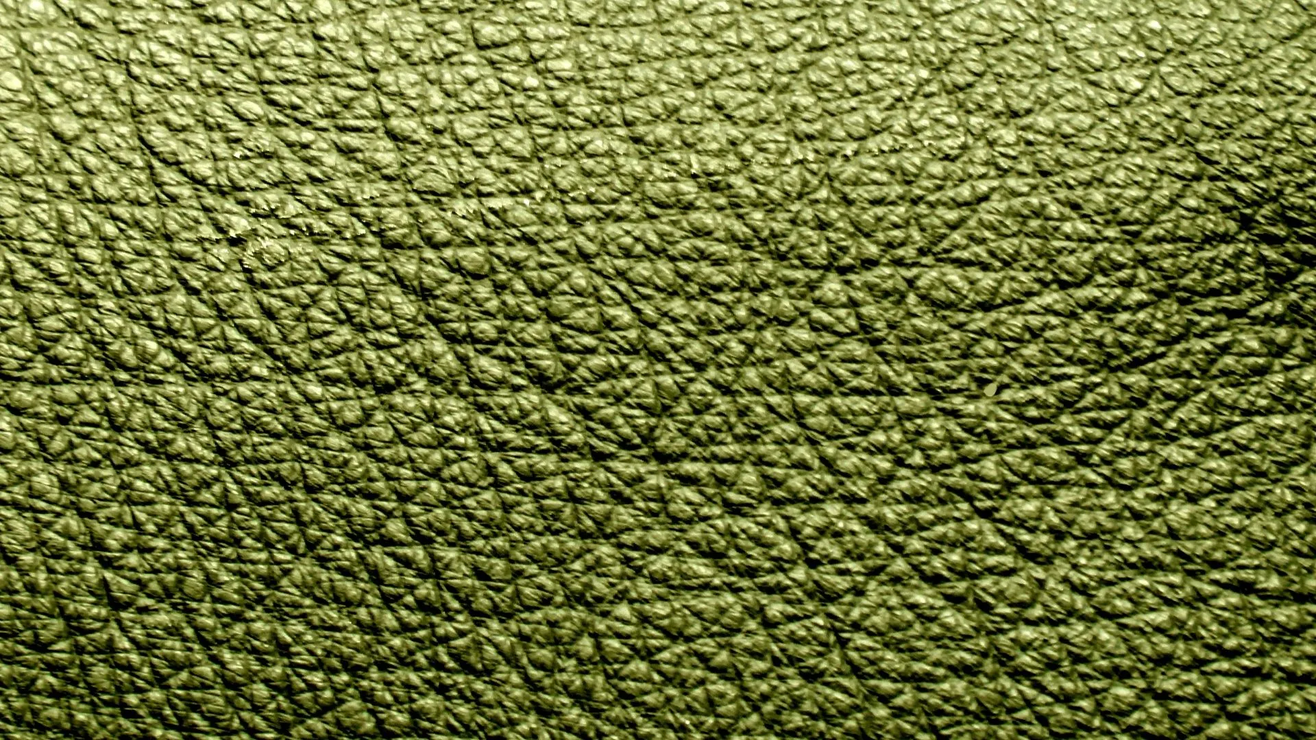 Olive, green, wallpaper, background, web