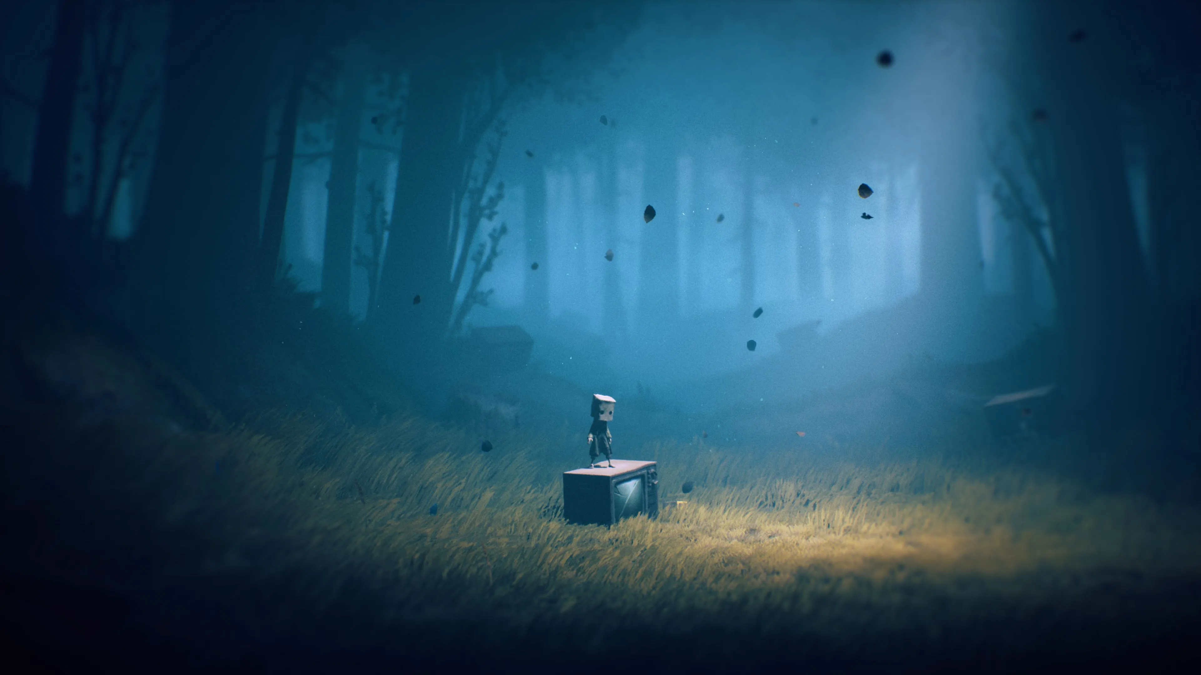 Mono Little Nightmares Wallpaper, HD Games 4K Wallpaper, Image and Background