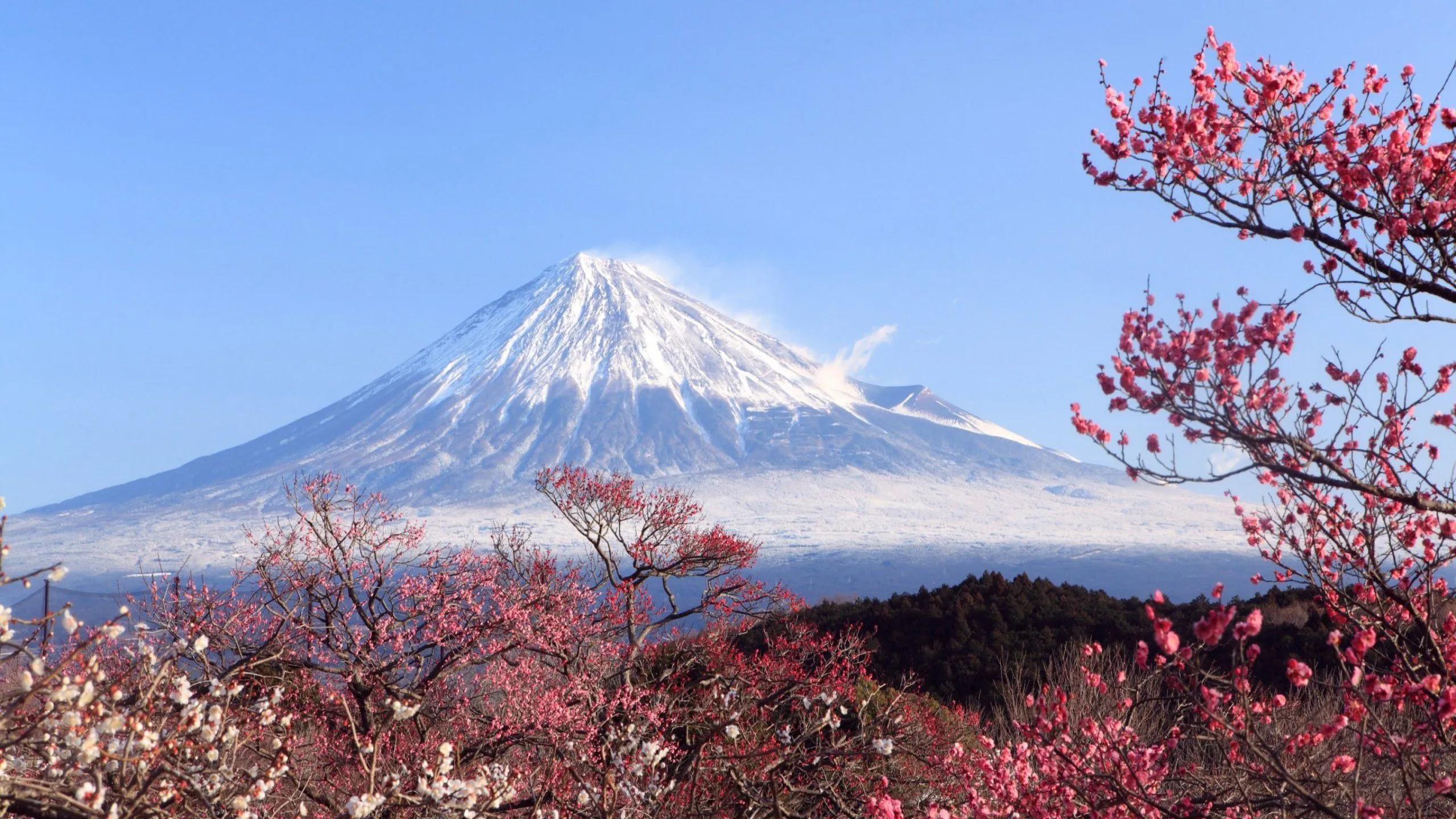 Mount Fuji Lake Kawaguchiko Japan Desktop Wallpaper 116040