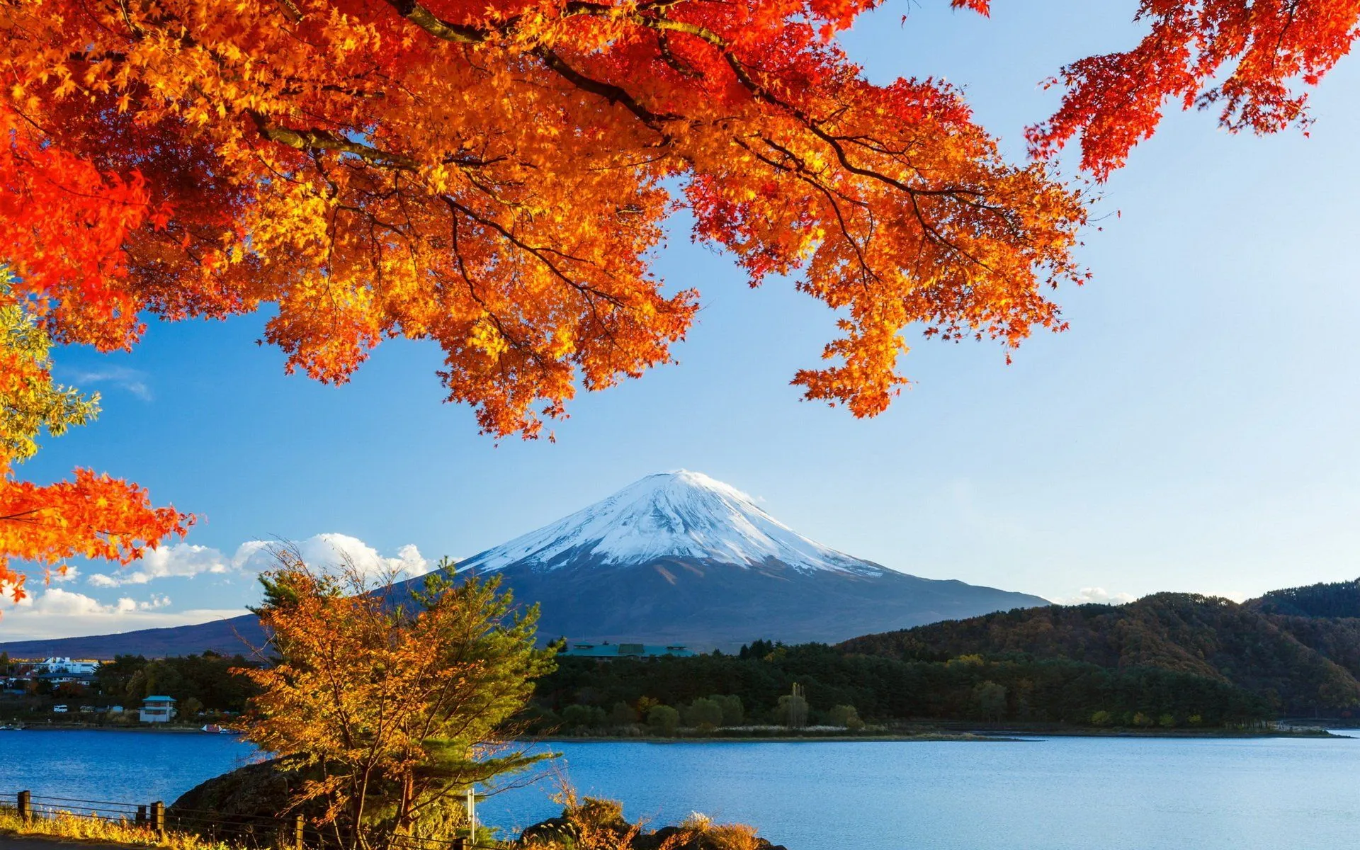 Stunning HD View of Mount Fuji Amid Vibrant Autumn Foliage