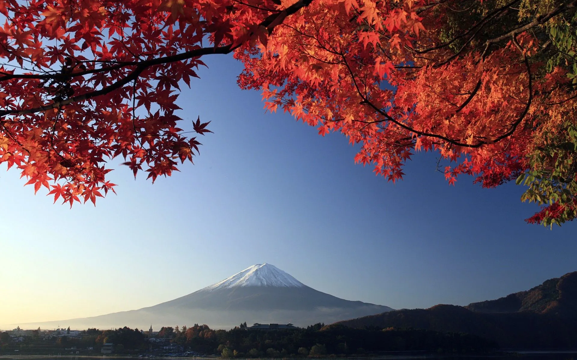 Red maple leaves on the background of Mount Fuji, Japan Desktop wallpaper 1440x900