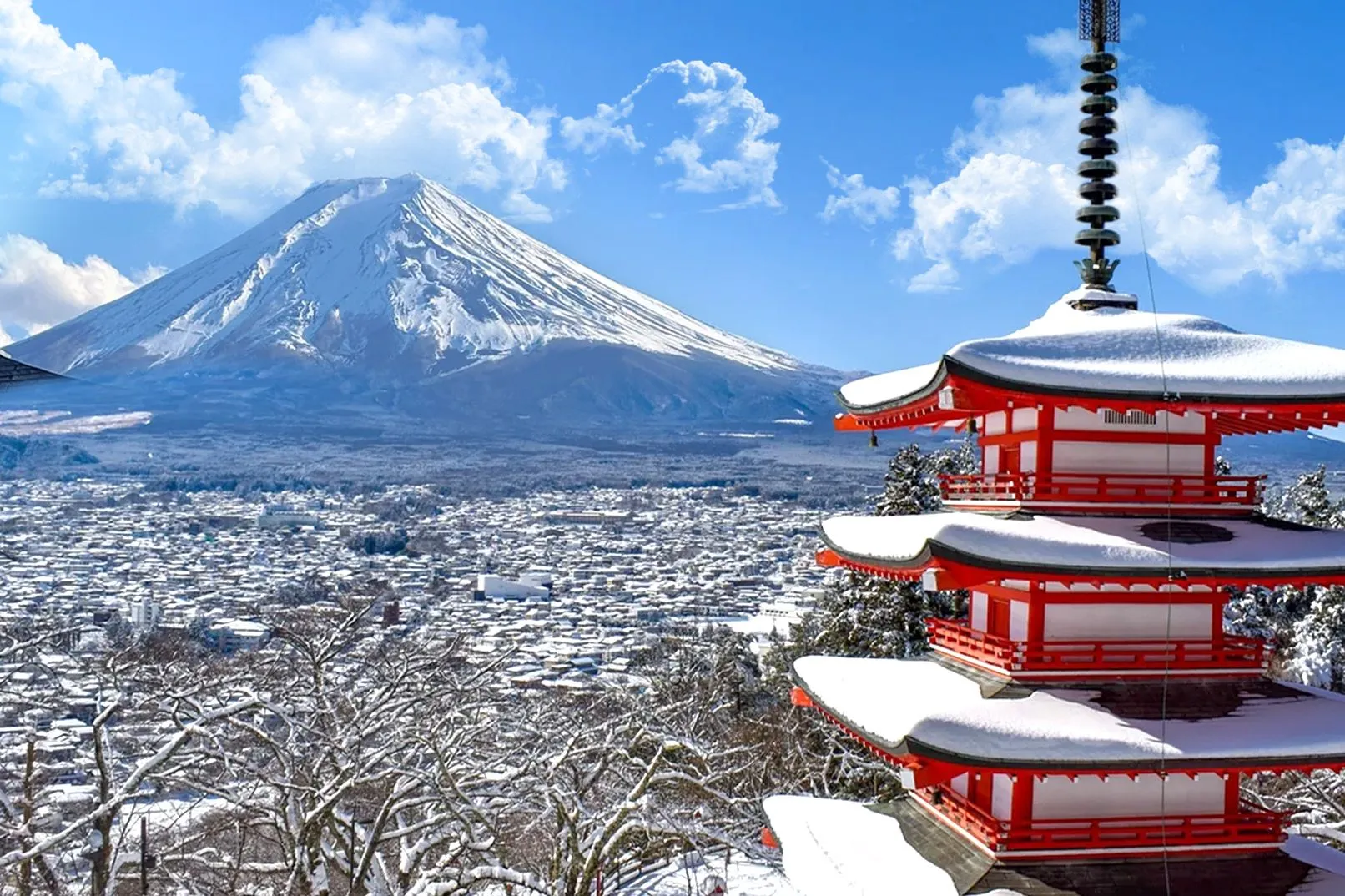 Mount Fuji (Mt. Fuji. Forests & Mountains)