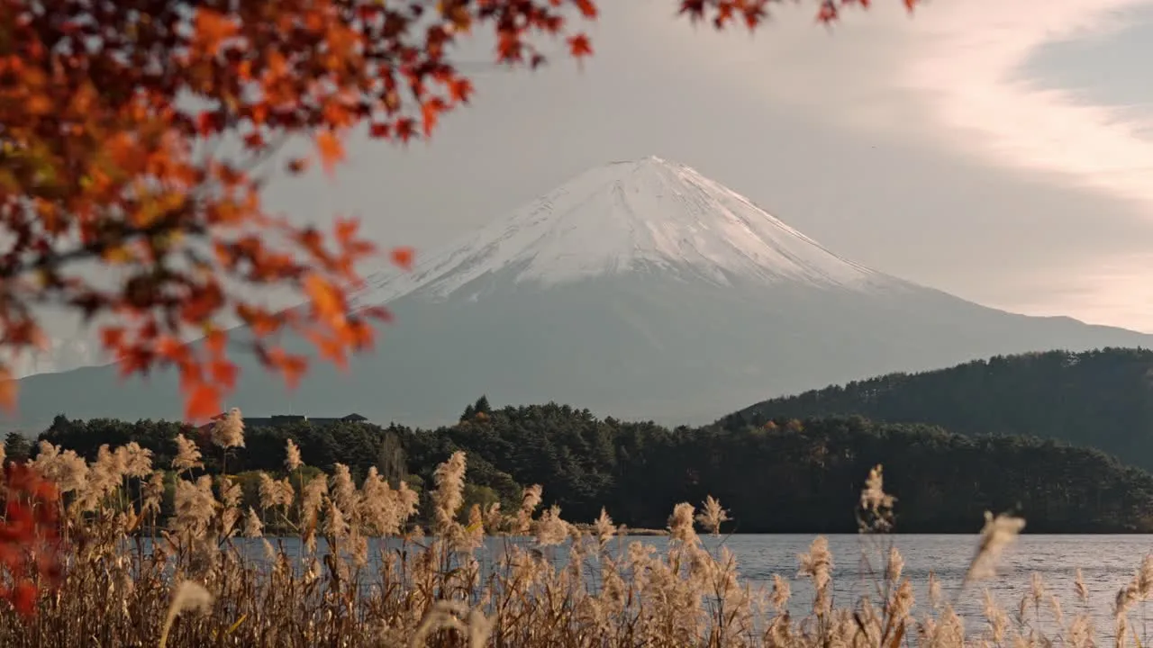 Beautiful landscape of mountain fuji