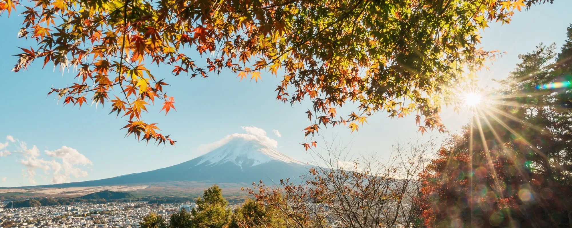 Mount Fuji Travel