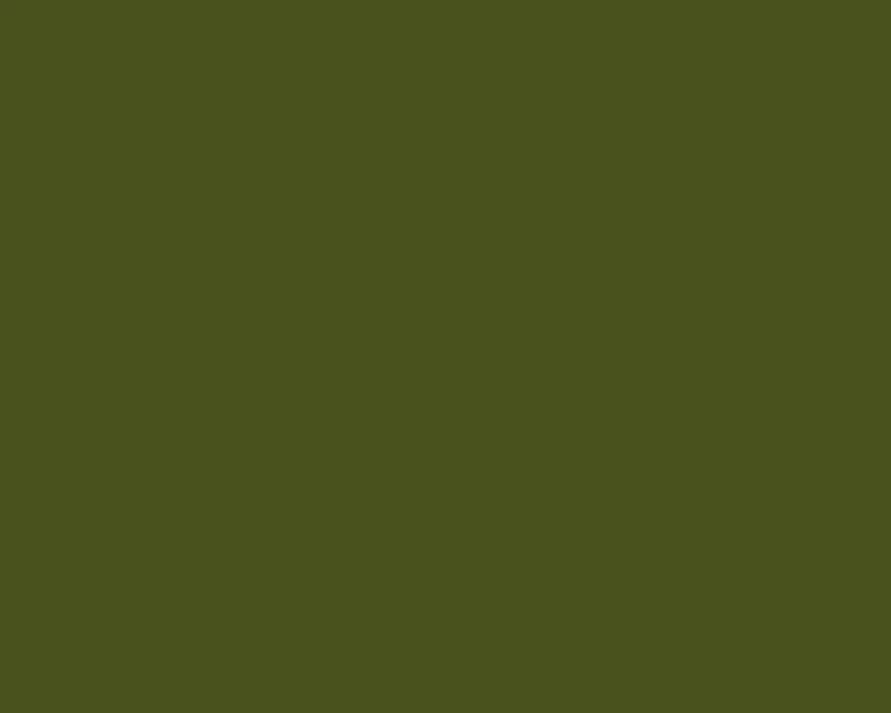 Solid Green Wallpaper, HD Background on WallpaperBat