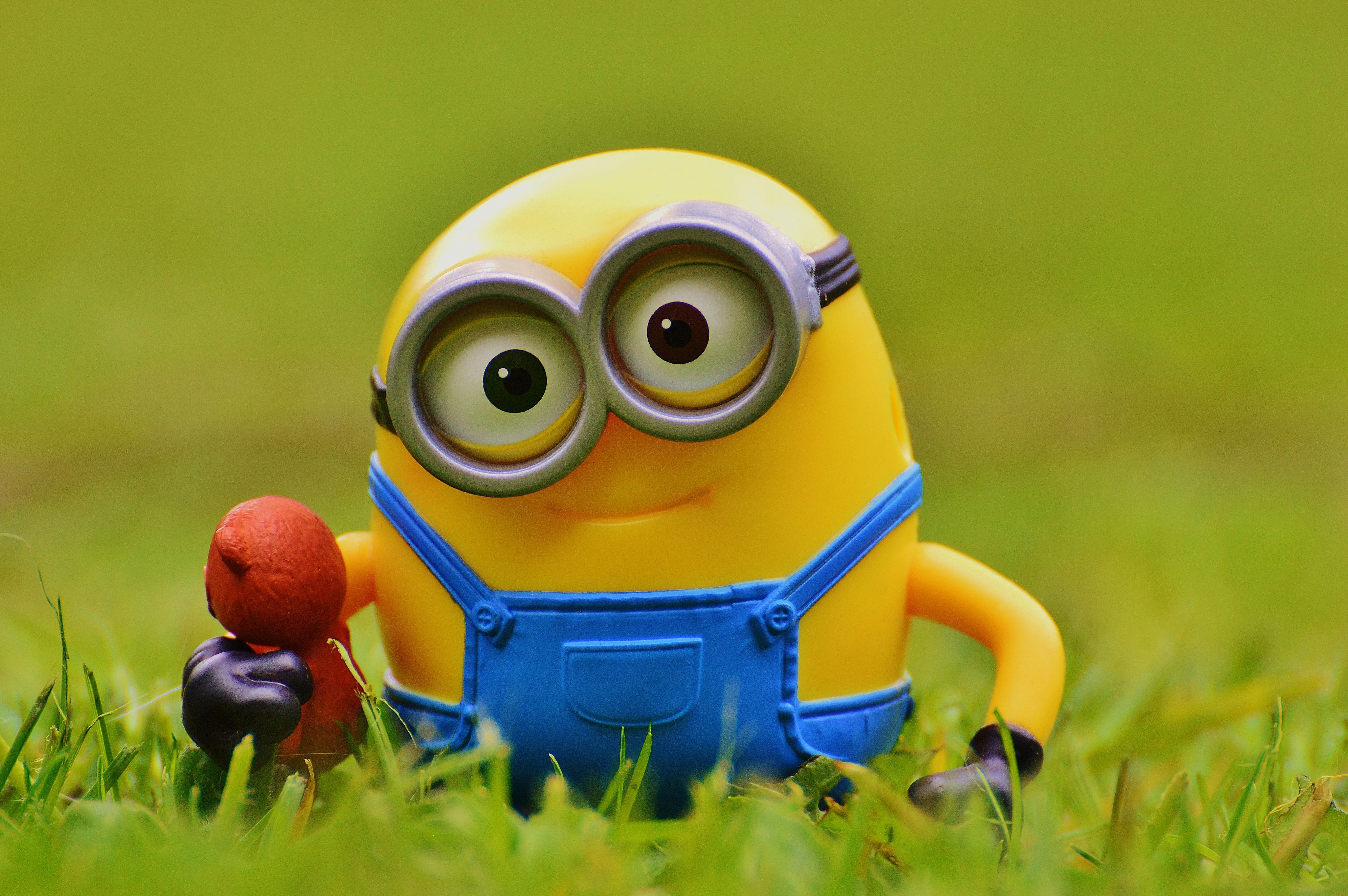 Free Image, grass, meadow, cute, yellow, toy, smile, close up, children, figure, toys, bears, funny, minion, macro photography, organism, computer wallpaper 6016x4000